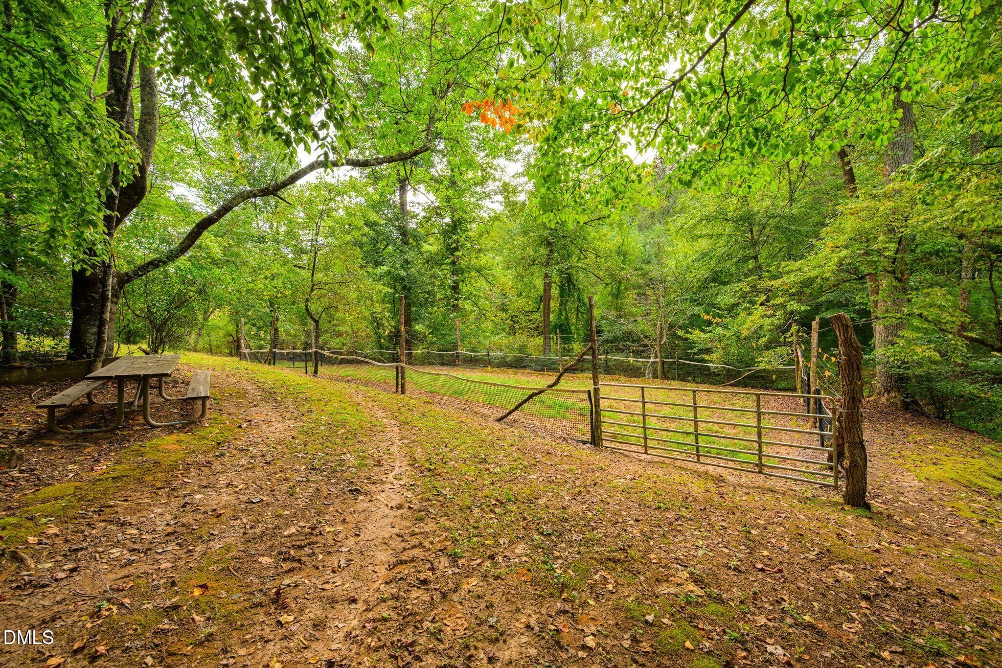 13_JGG_9411 - 0000 Chestnut Grove Road, Millers Creek, NC 28651