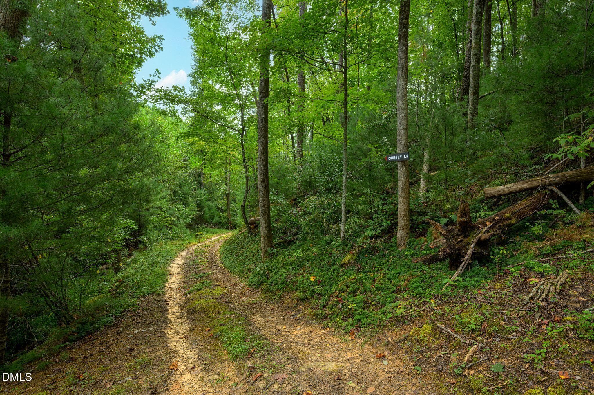 15_JGG_9375 - 0000 Chestnut Grove Road, Millers Creek, NC 28651