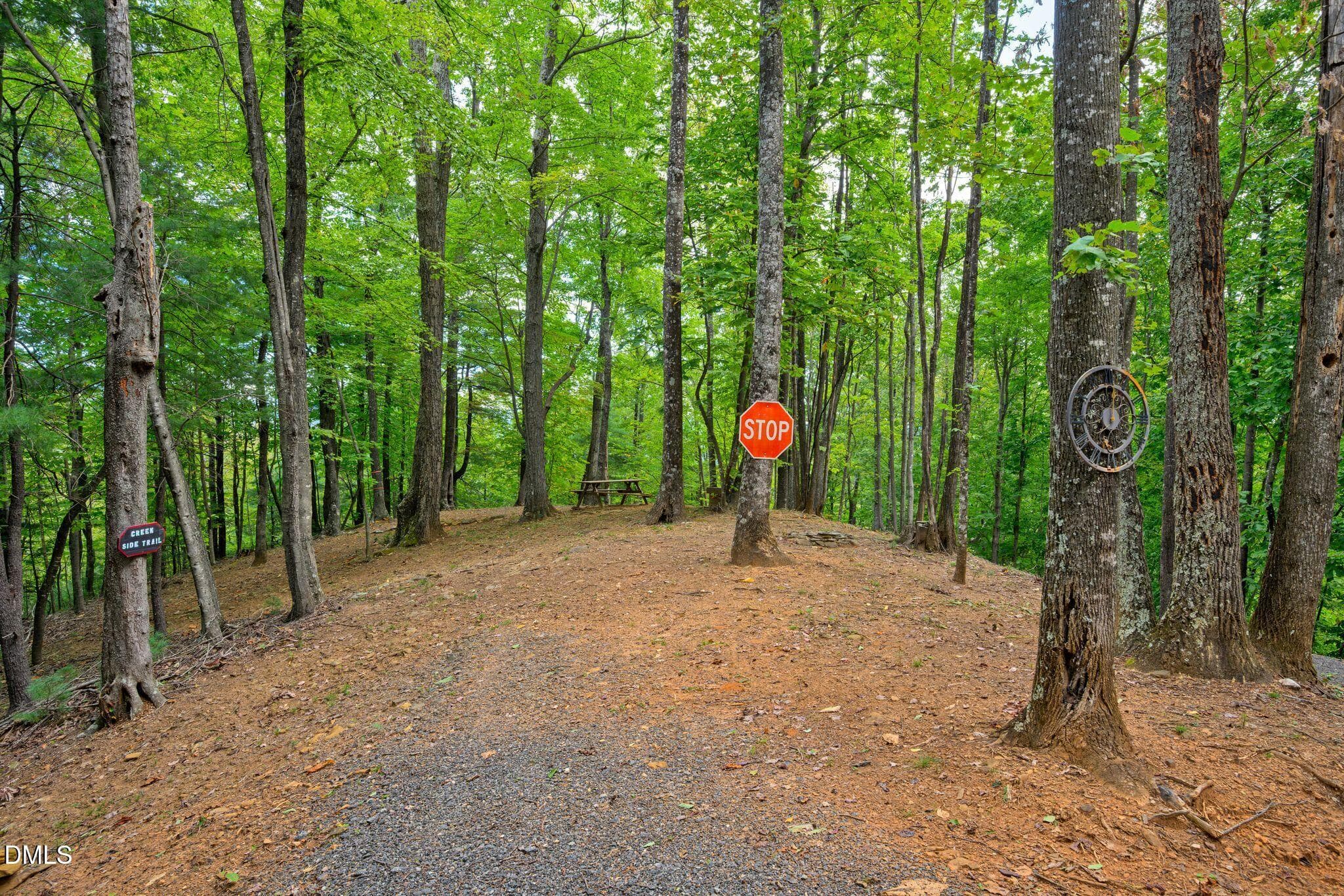 19_JGG_9336 - 0000 Chestnut Grove Road, Millers Creek, NC 28651