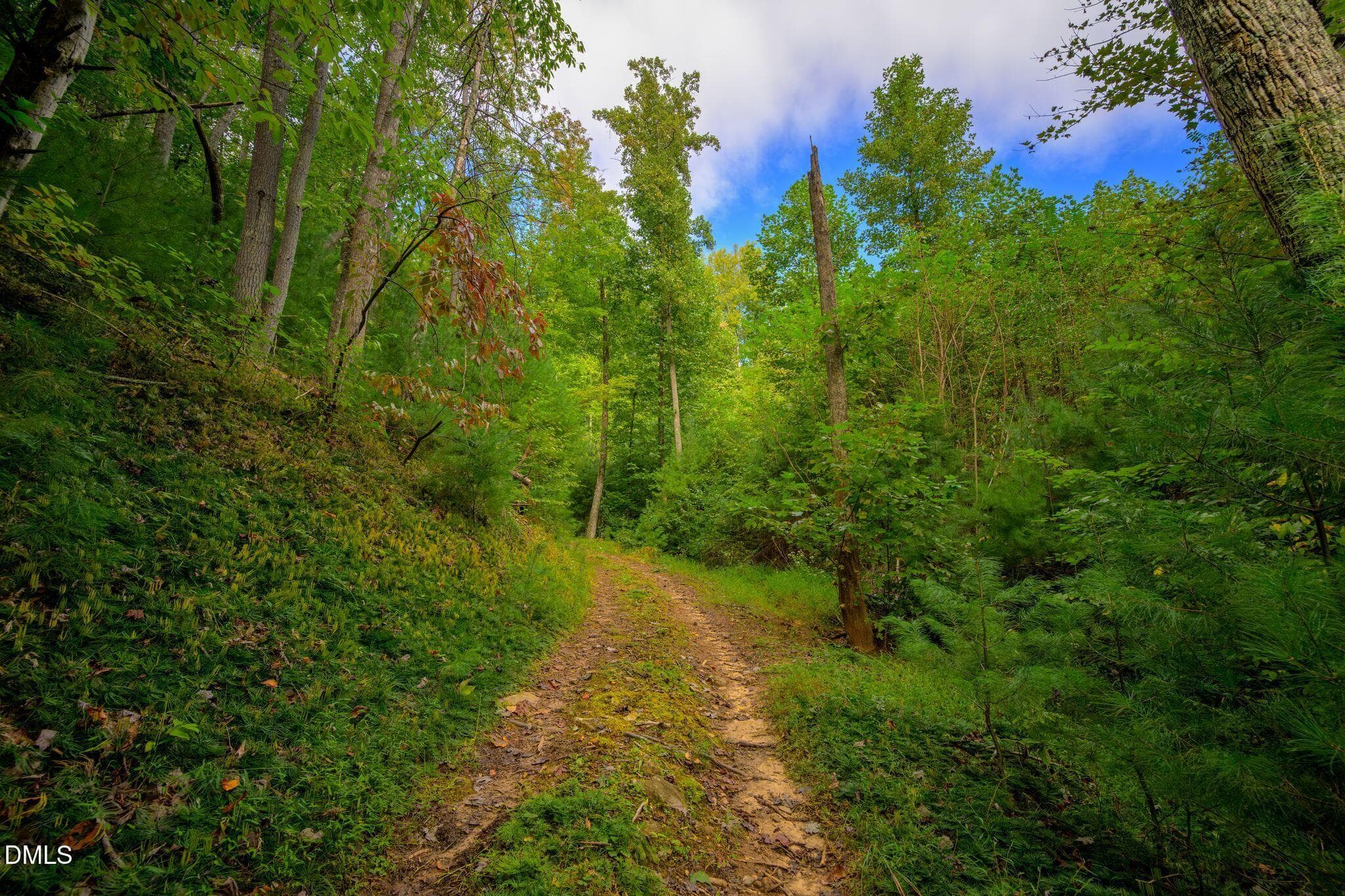 45_JGG_9436 - 0000 Chestnut Grove Road, Millers Creek, NC 28651