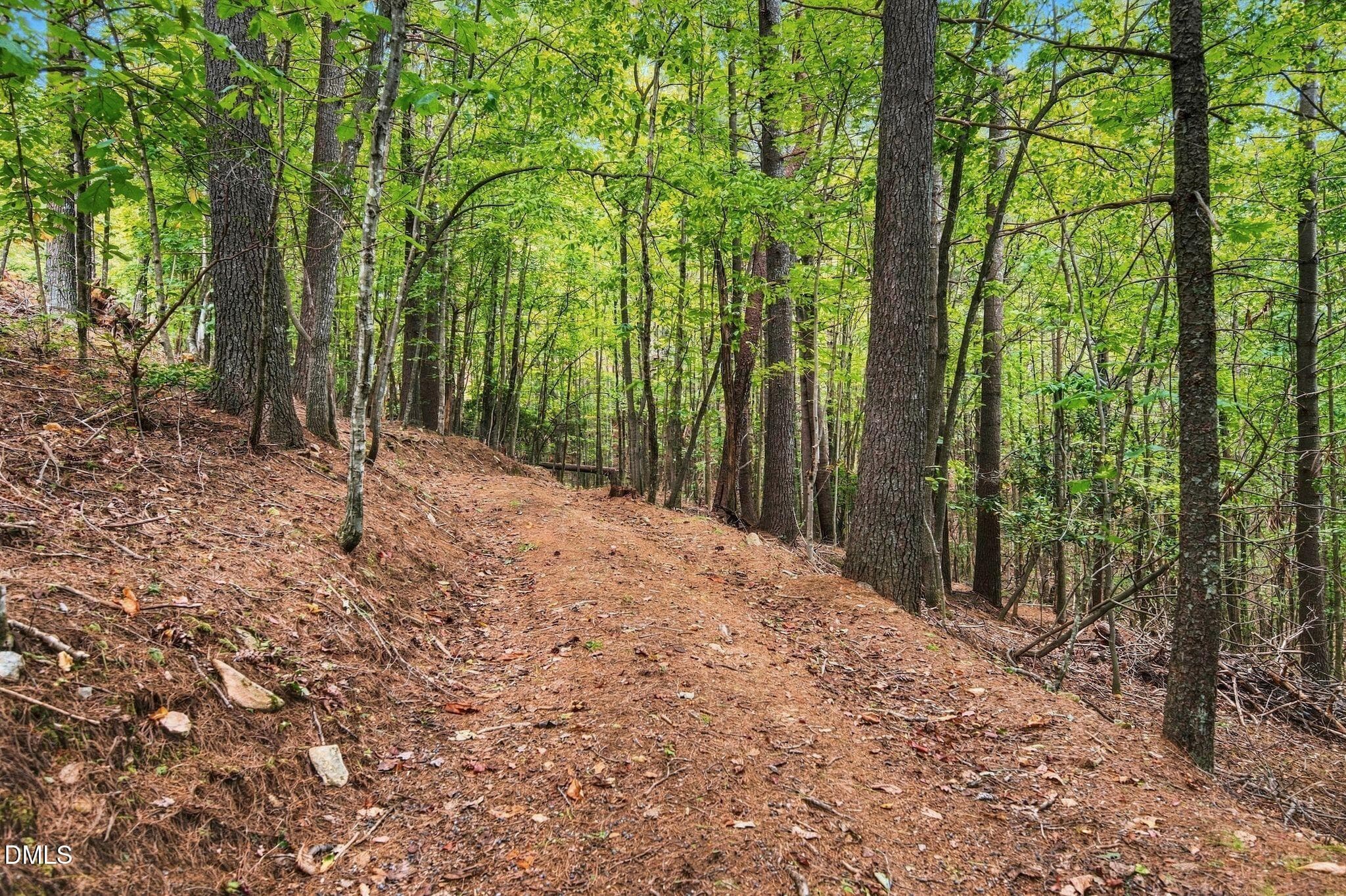 46_RMP_010 - 0000 Chestnut Grove Road, Millers Creek, NC 28651