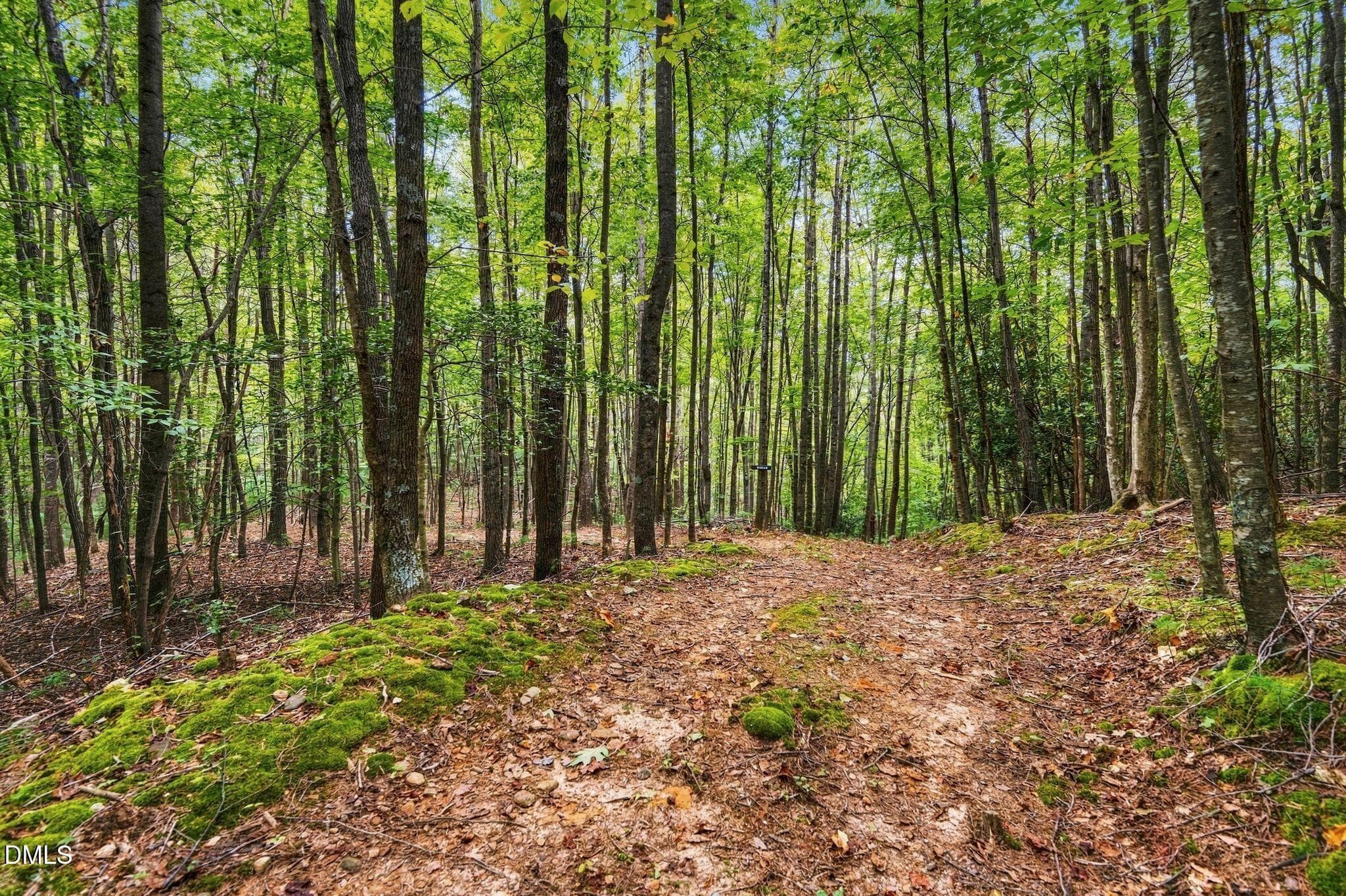 48_RMP_011 - 0000 Chestnut Grove Road, Millers Creek, NC 28651