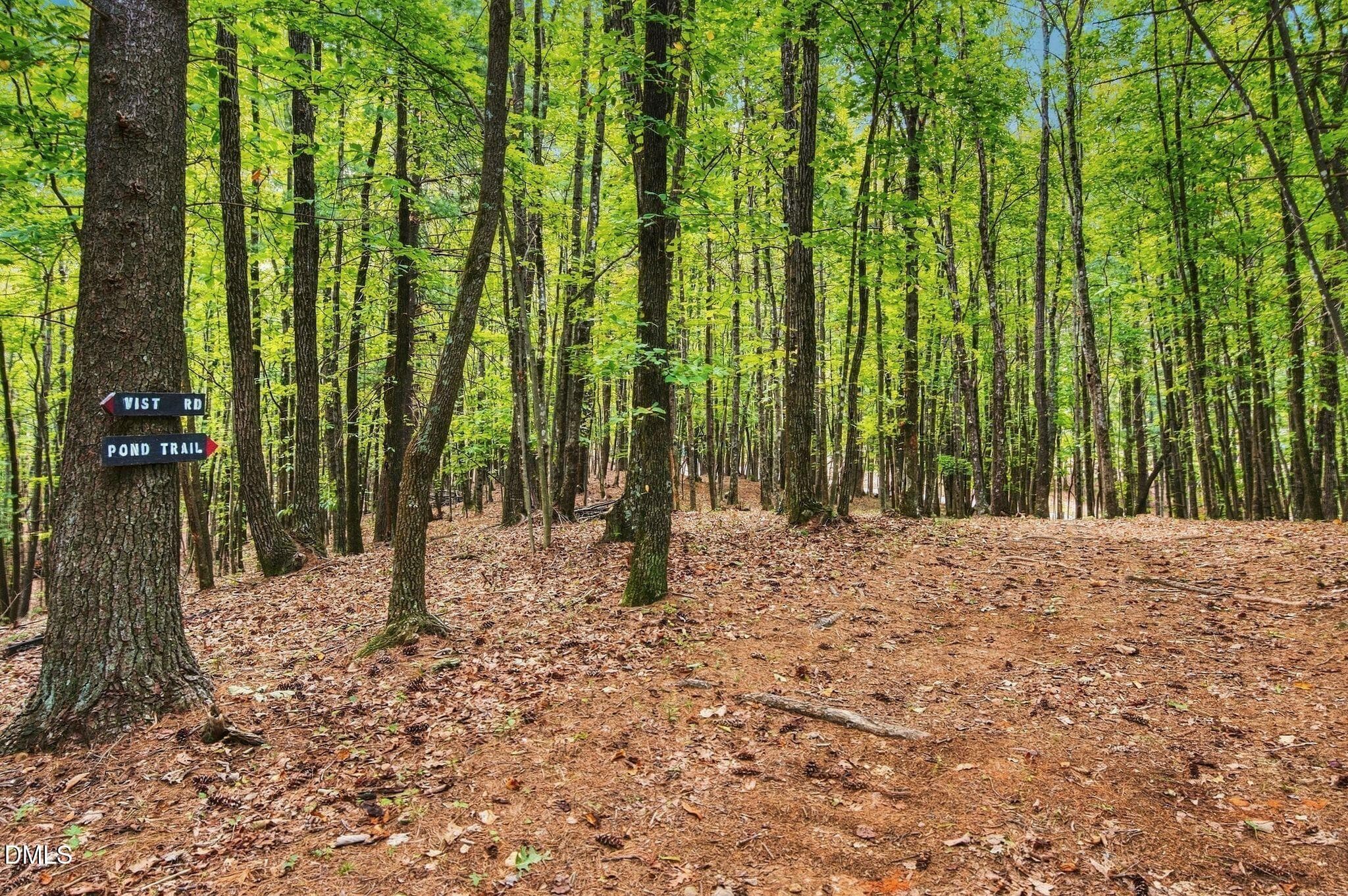 49_RMP_013 - 0000 Chestnut Grove Road, Millers Creek, NC 28651