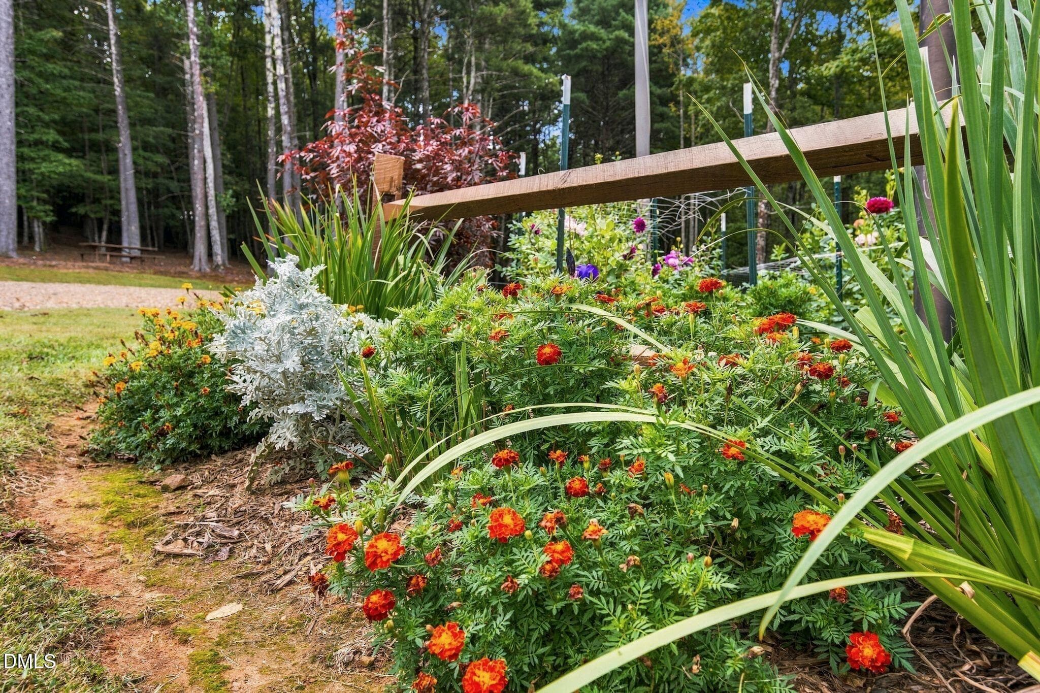 52_RMP_034 - 0000 Chestnut Grove Road, Millers Creek, NC 28651