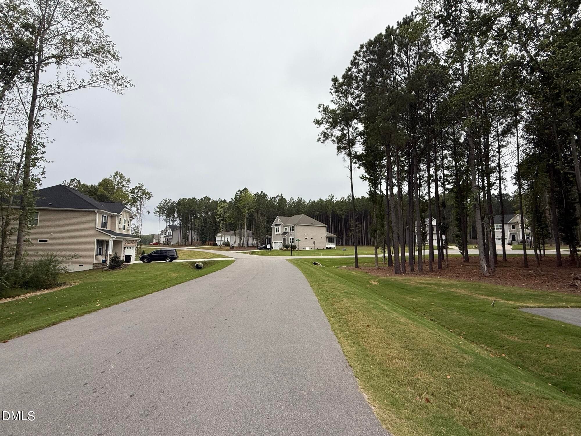 IMG_9798 - 10300 Hamish Drive, Zebulon, NC 27597, Zebulon