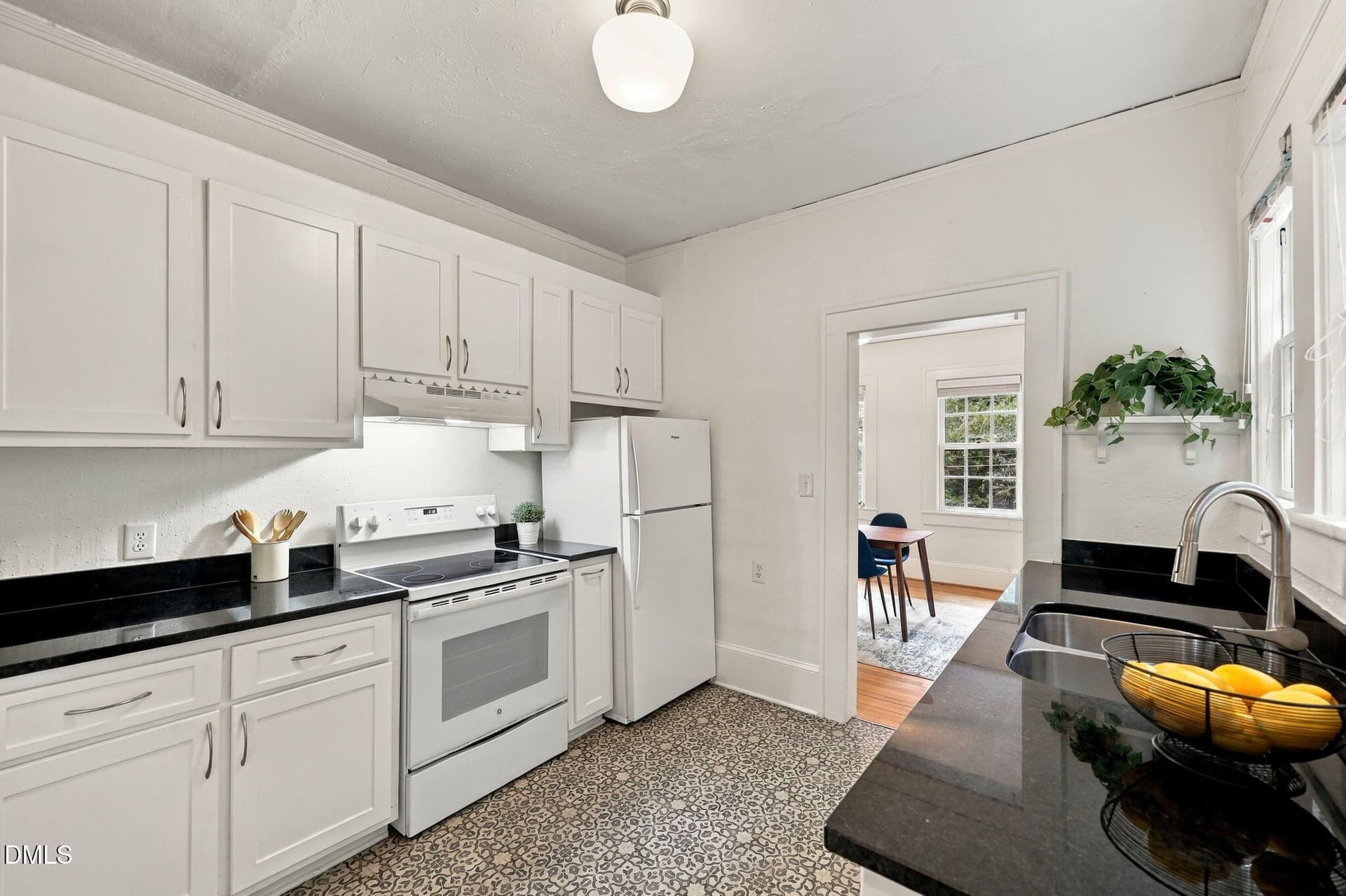 55-web-or-mls-IMG_9998 - 13 Davie Circle, Chapel Hill, NC 27514