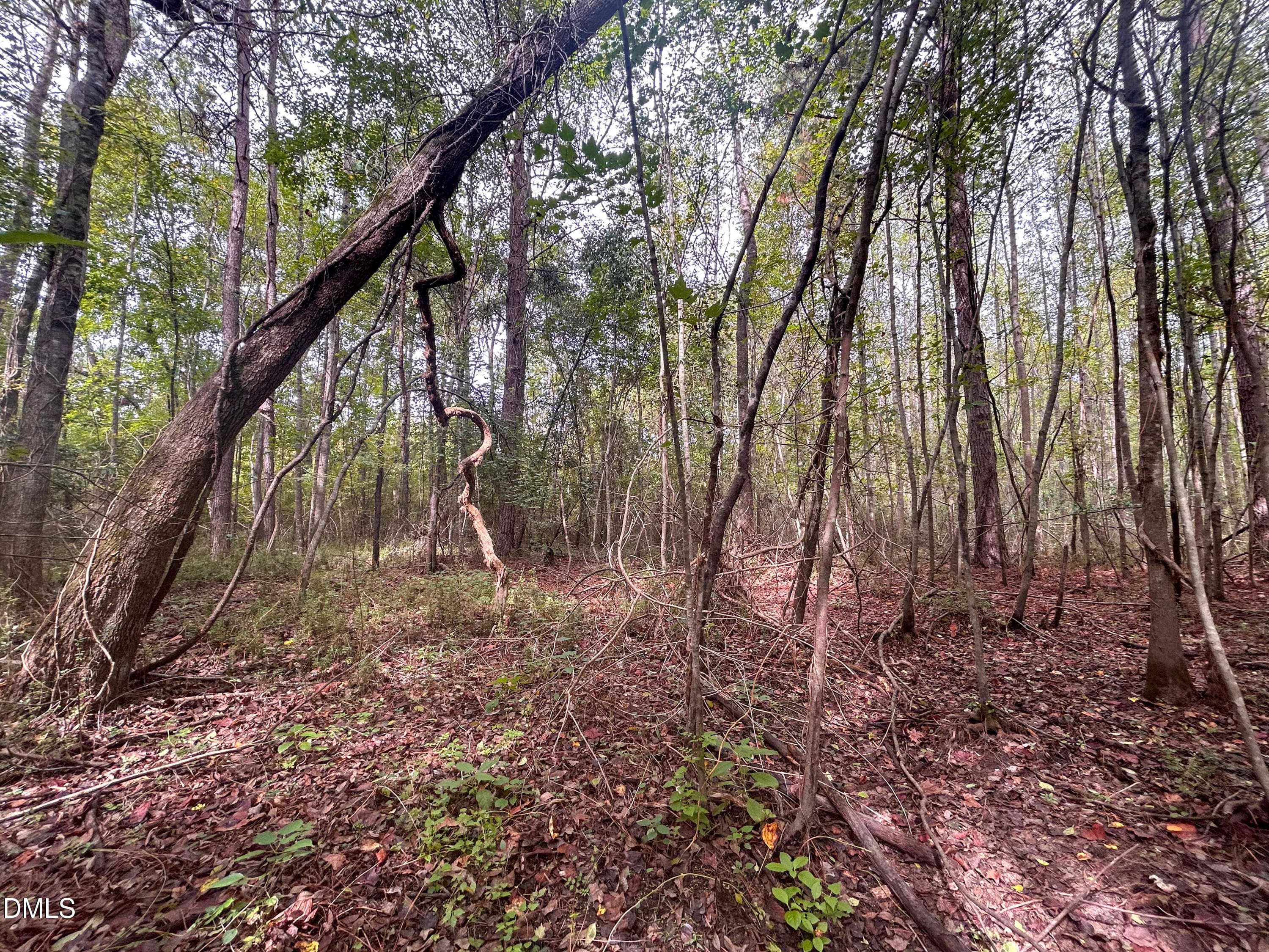 25 - 0 Mcdougald Road, Lillington, NC 27546