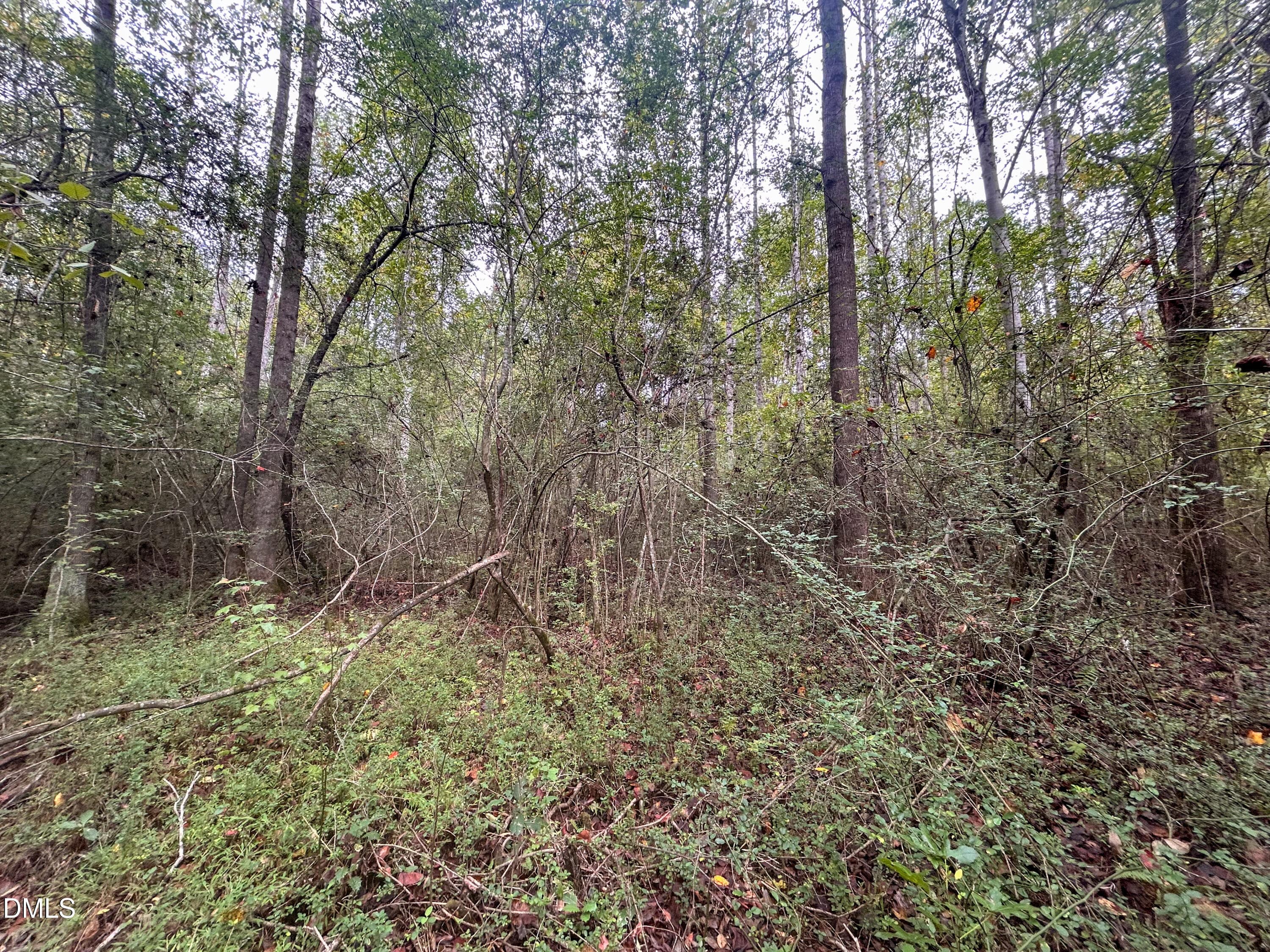 26. - 0 Mcdougald Road, Lillington, NC 27546