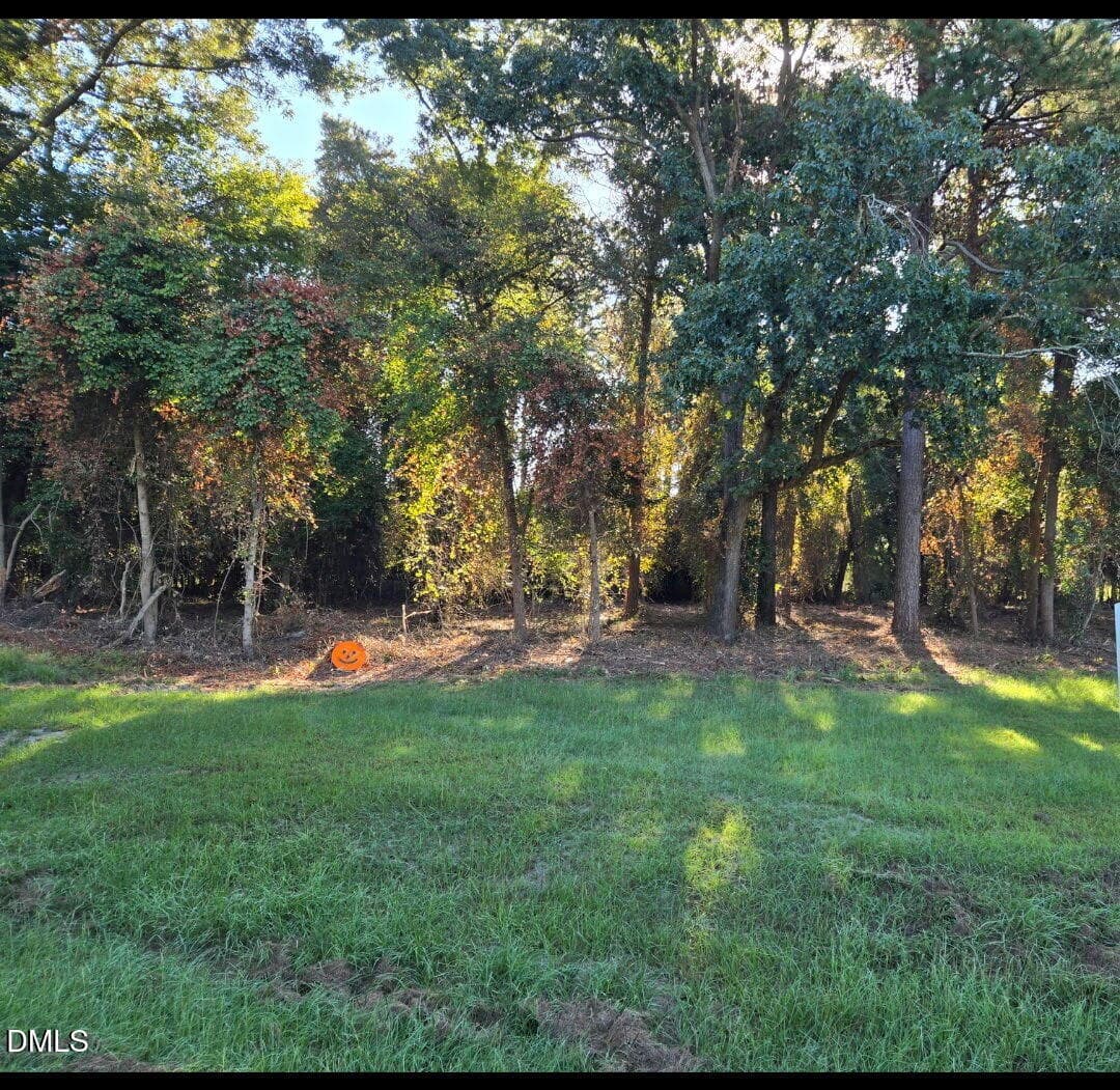 photo 3 - 0 Godwin Lake Road, Benson, NC 27504