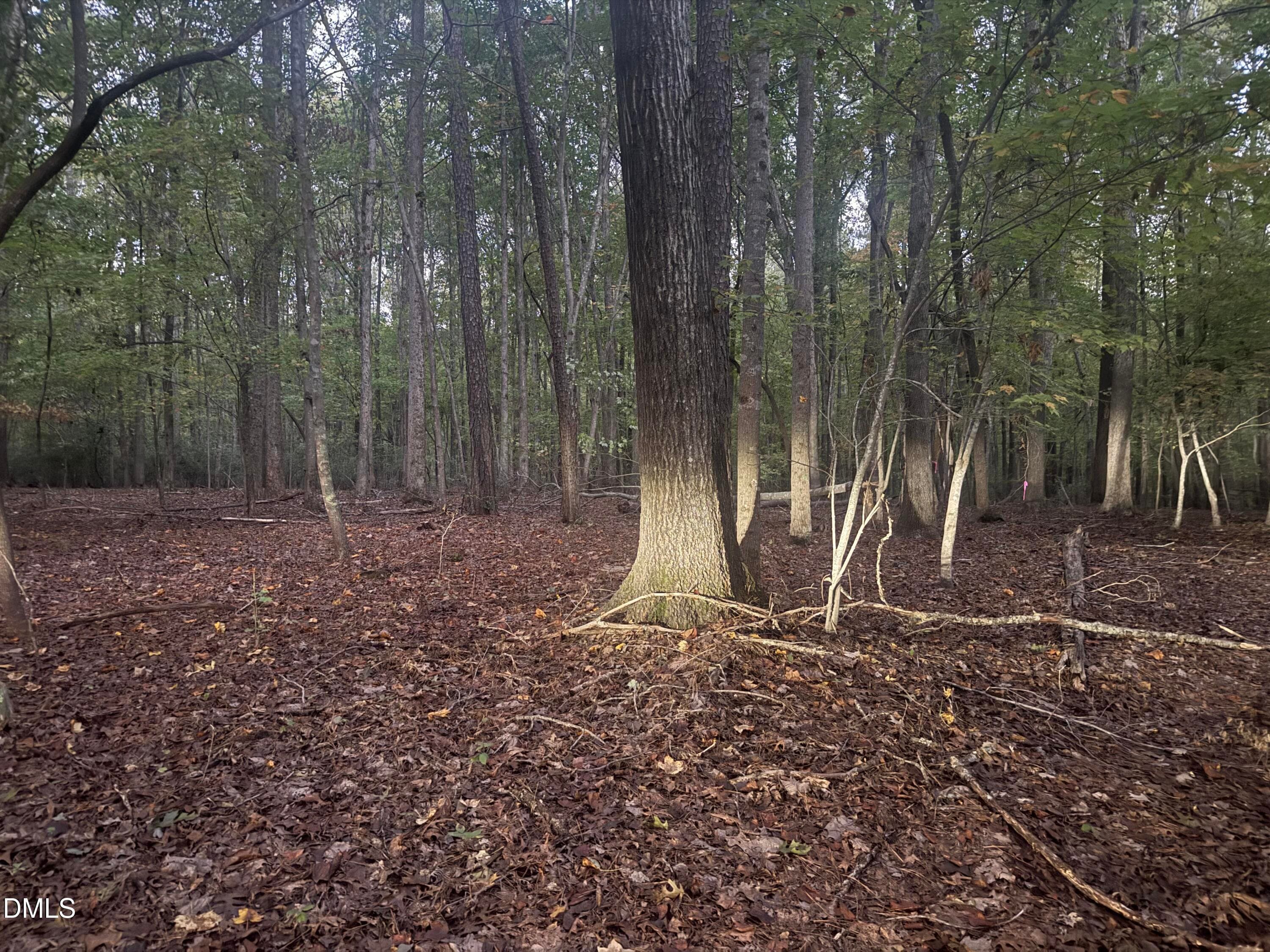 0 Dark Oaks, Pittsboro, NC 27312