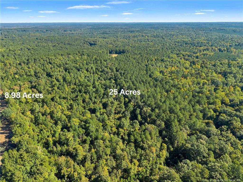 Photo 5 - S Plank Road, Sanford, NC 27330