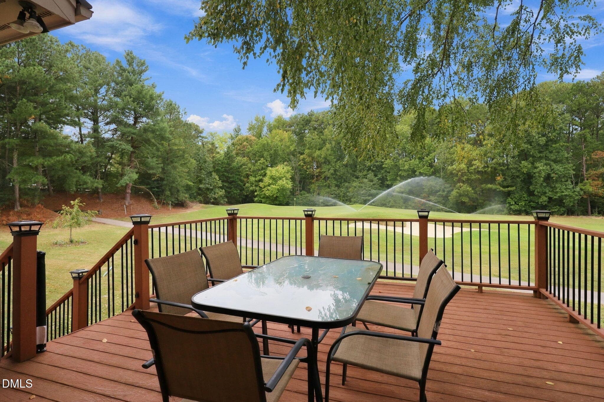 53-web-or-mls-IMG_1090 - 2988 Tillinghast Trail, Raleigh, NC 27613