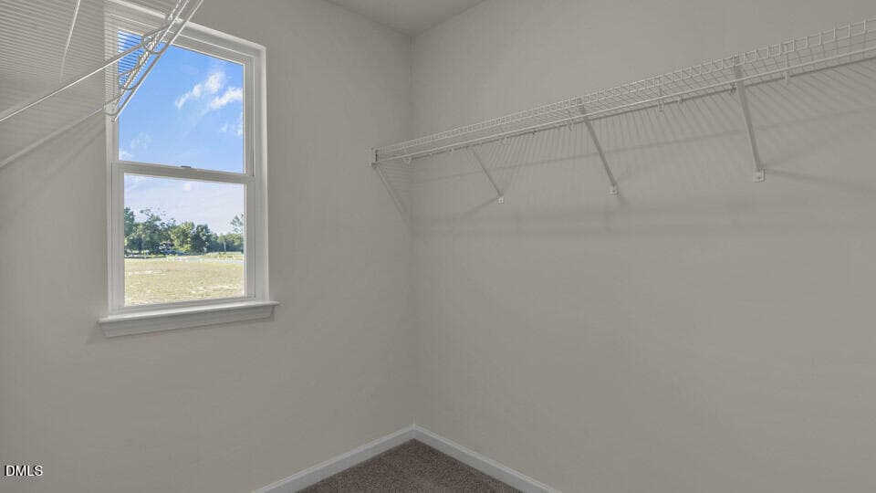 CLOSET - 24 Bee Garden Court, Angier, NC 27501, Angier