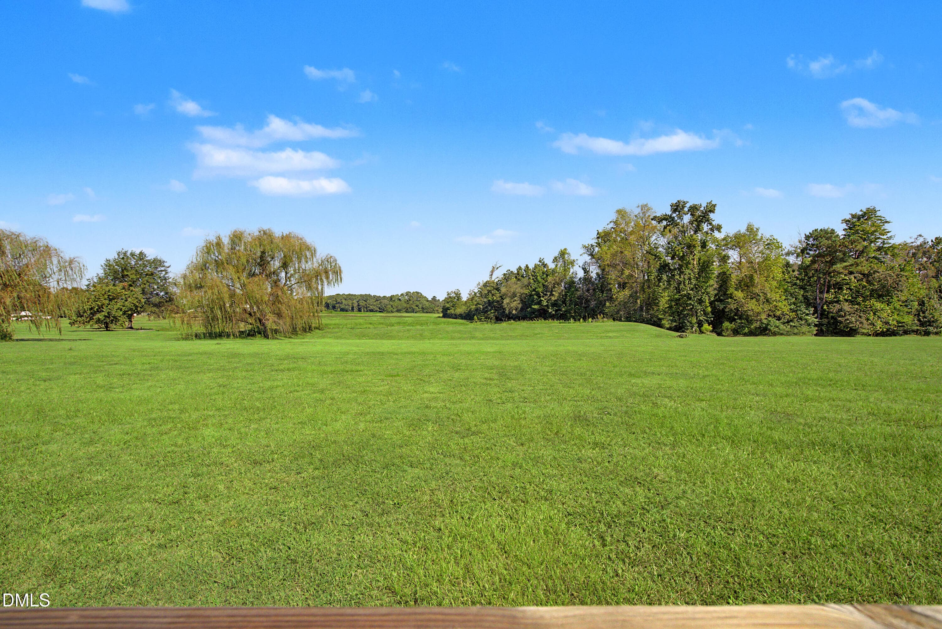 DSC00134 - 7412 Fish Pond Road, Sims, NC 27880, Sims