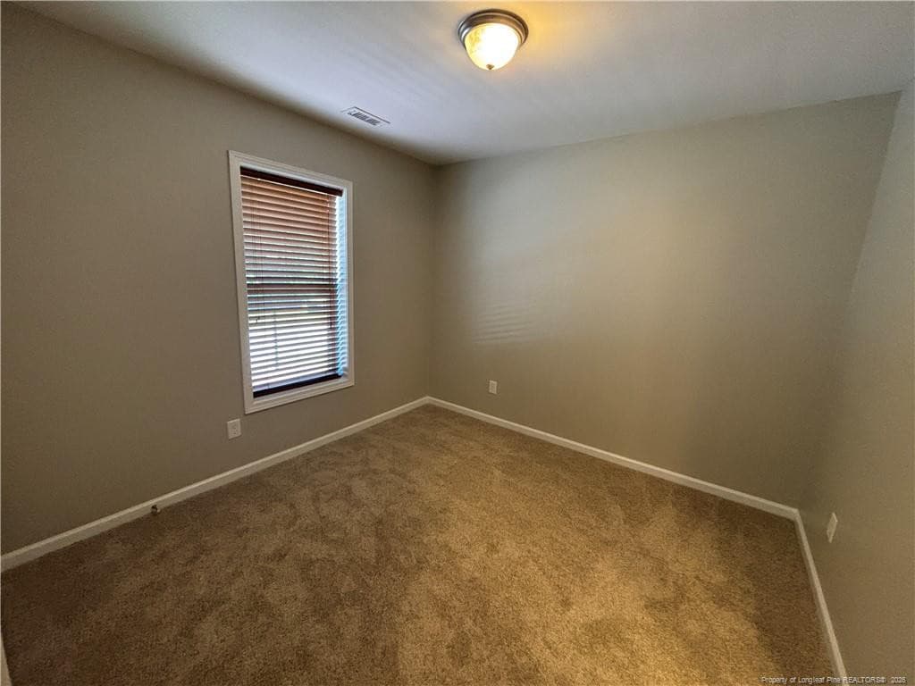 Photo 21 - 438 Roanoke Drive, Raeford, NC 28376