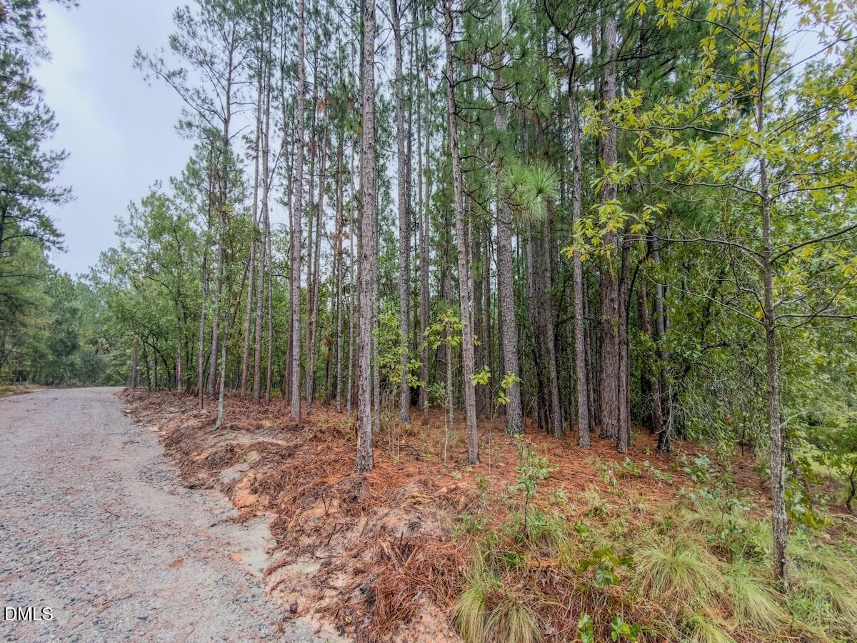 02_McDuffie - 599 Mcduffie Road, Cameron, NC 28326
