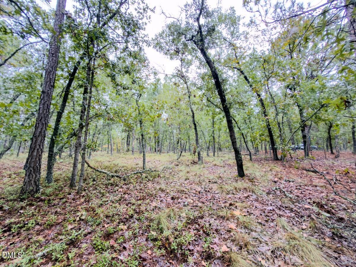 11_McDuffie - 599 Mcduffie Road, Cameron, NC 28326