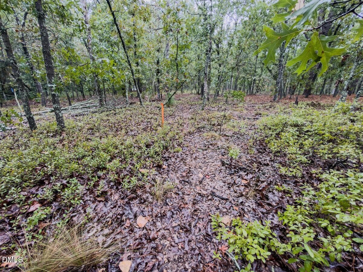 12_McDuffie - 599 Mcduffie Road, Cameron, NC 28326