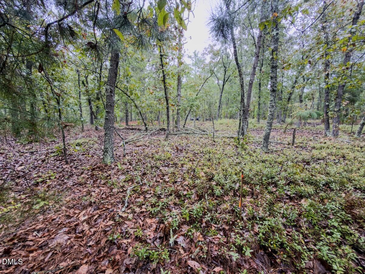 17_McDuffie - 599 Mcduffie Road, Cameron, NC 28326