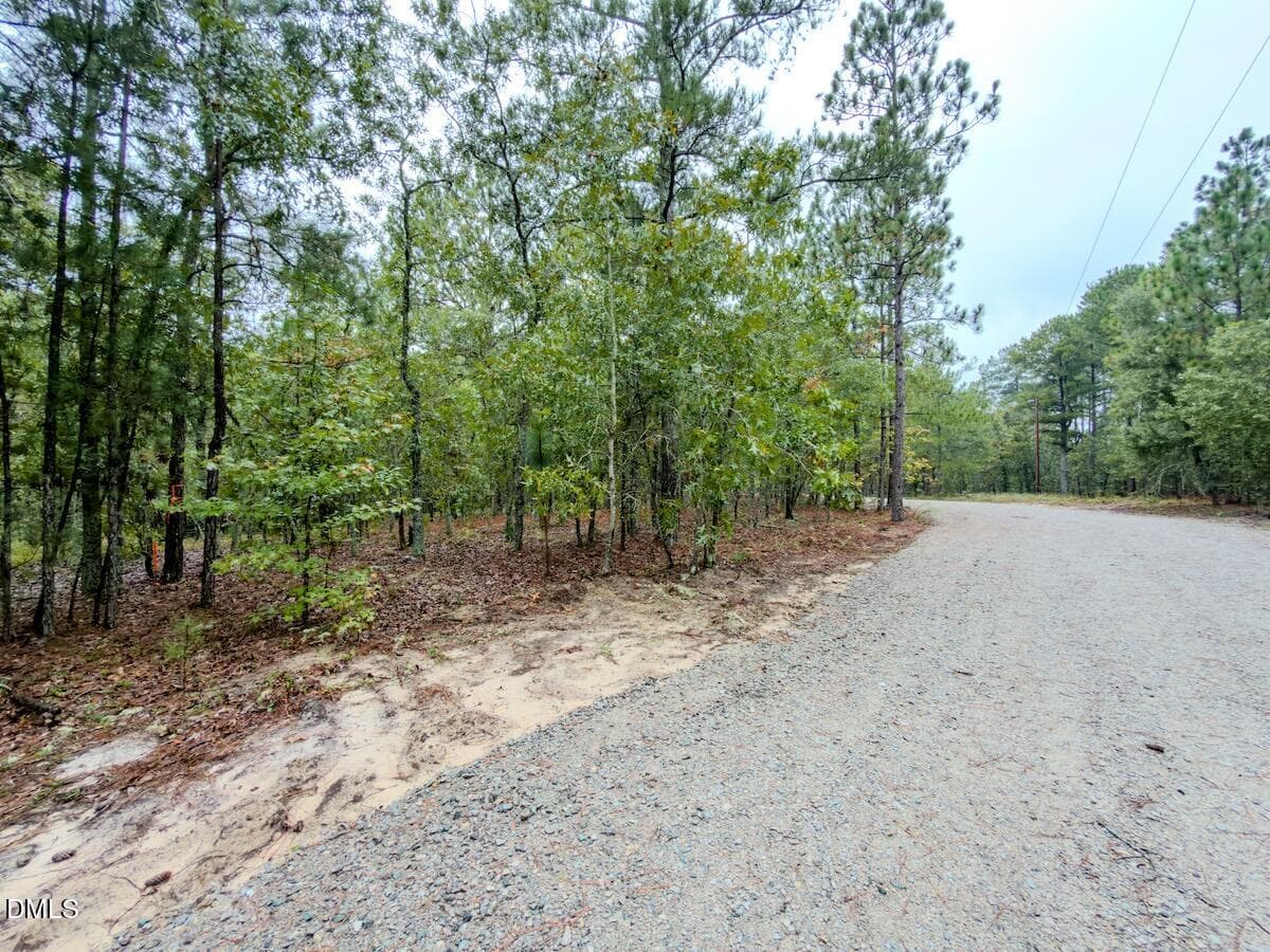 24_McDuffie - 599 Mcduffie Road, Cameron, NC 28326