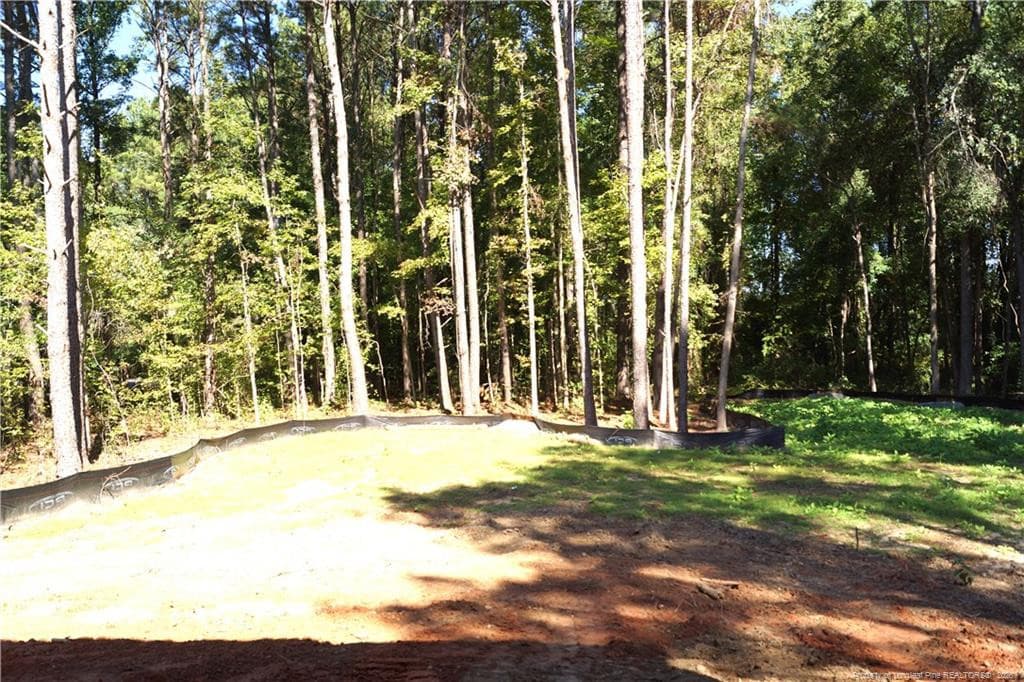 Photo 15 - 190 WILLOWBROOK Drive, Sanford, NC 27331
