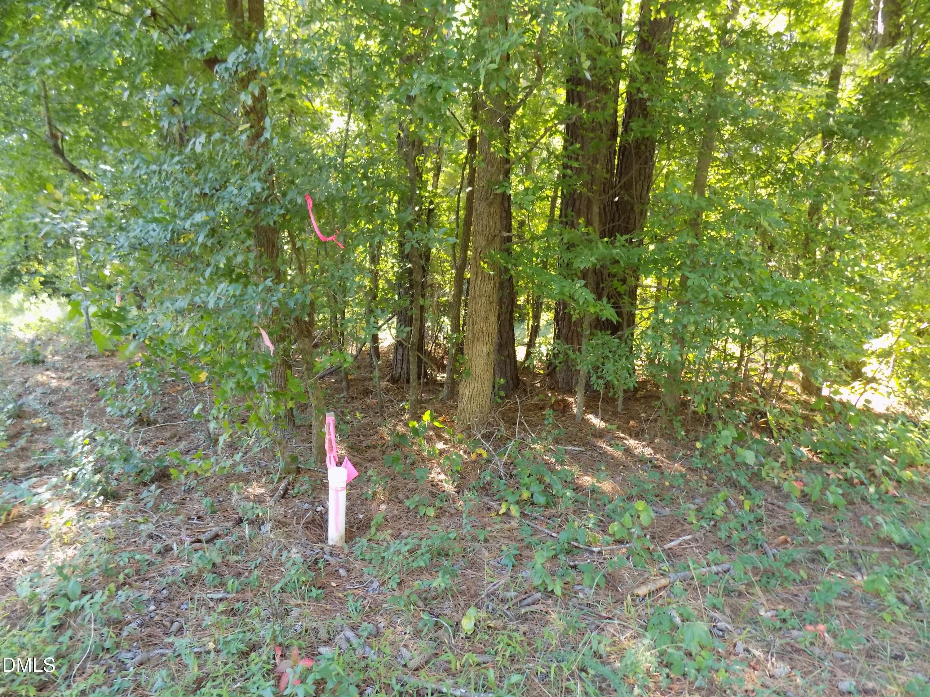 p1 - 0 Perdues Road, Louisburg, NC 27549