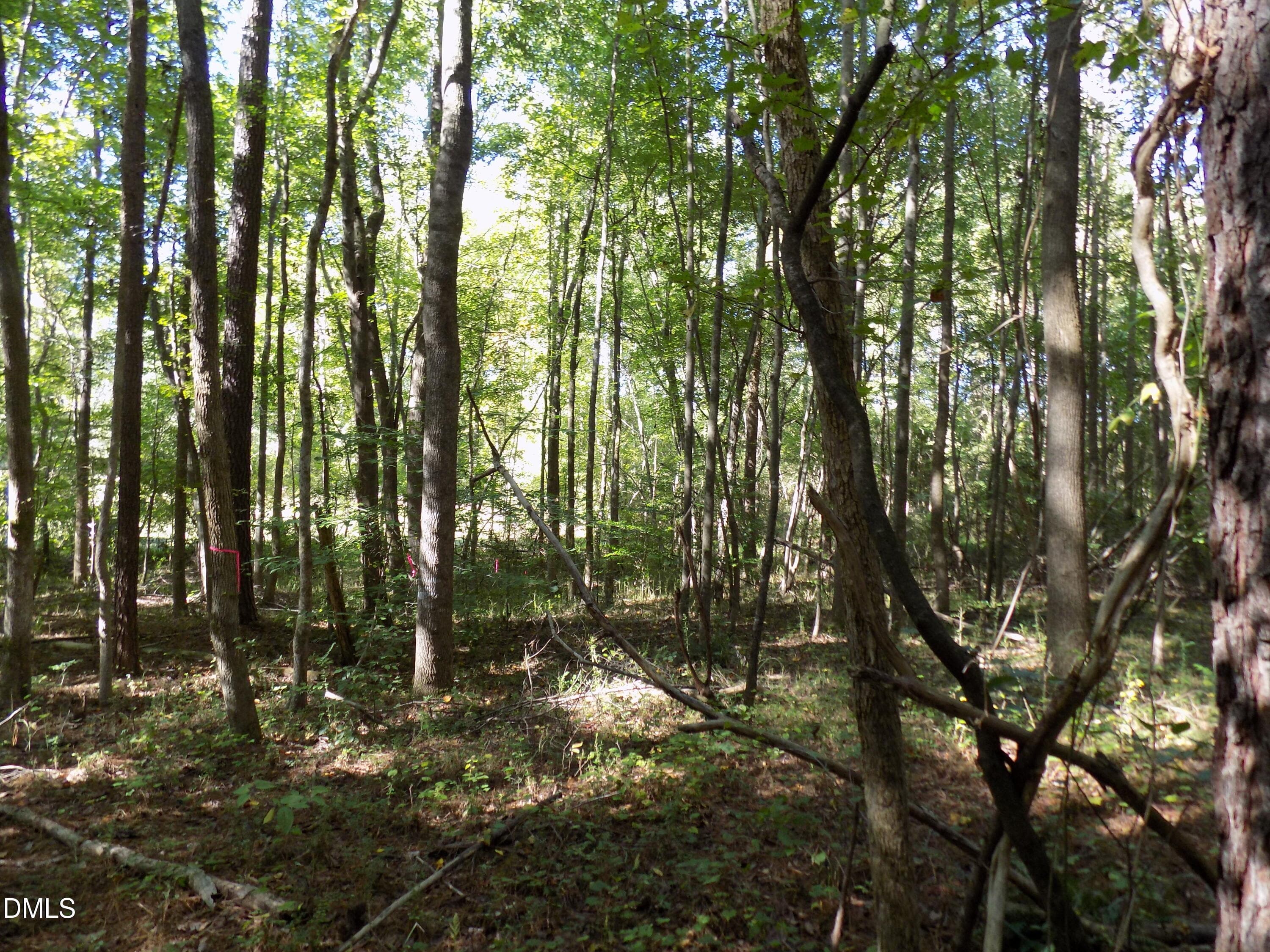 p4 - 0 Perdues Road, Louisburg, NC 27549