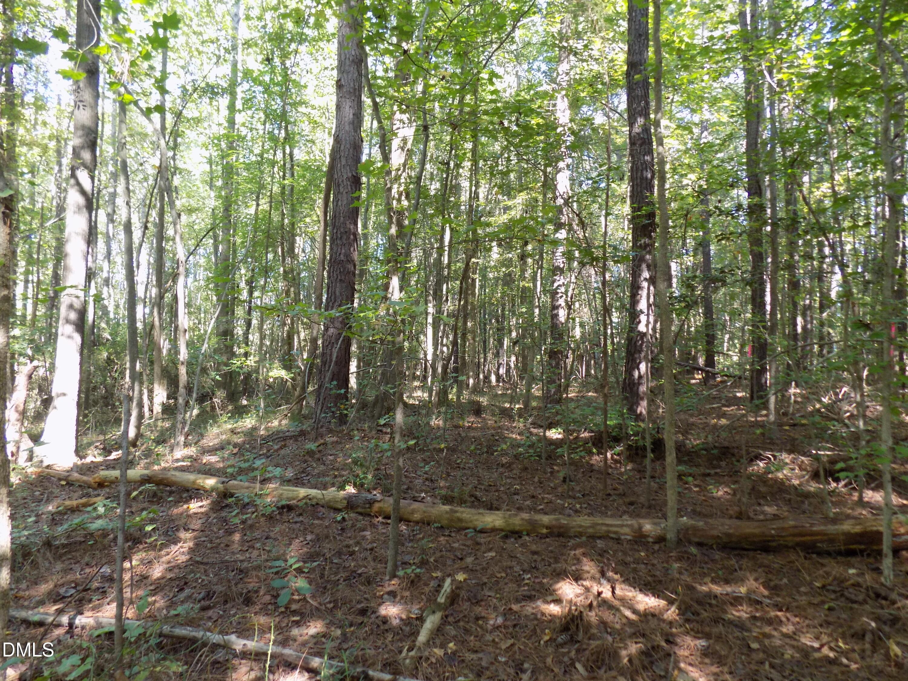 p5 - 0 Perdues Road, Louisburg, NC 27549
