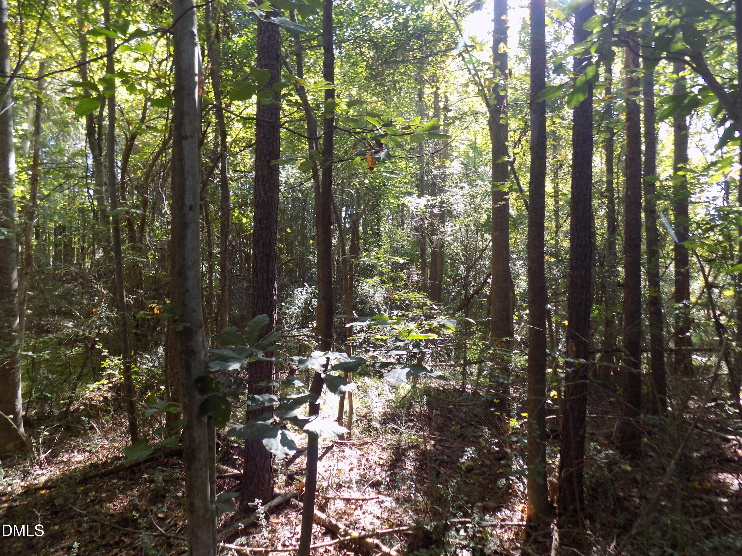 p6 - 0 Perdues Road, Louisburg, NC 27549