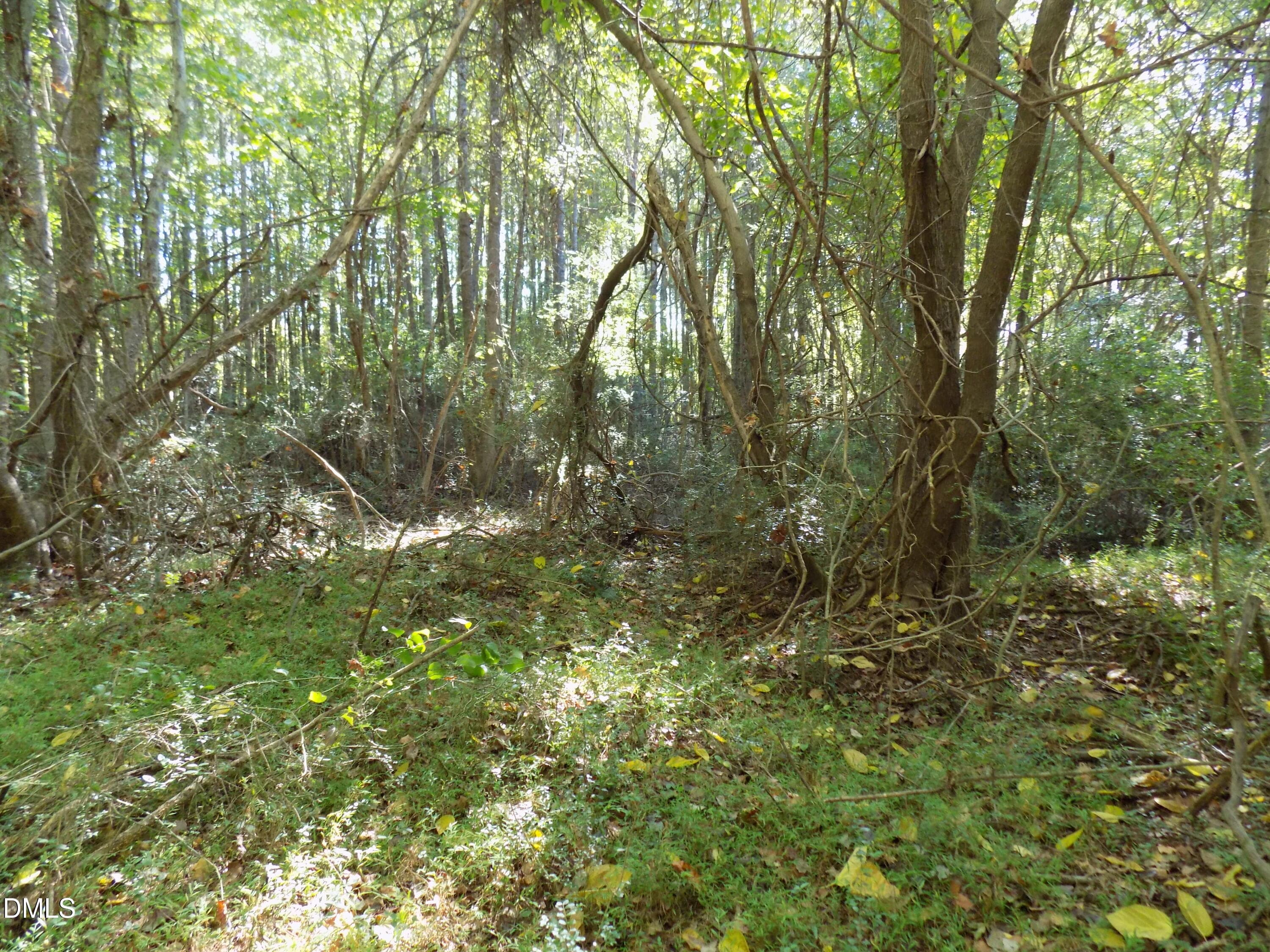 p7 - 0 Perdues Road, Louisburg, NC 27549