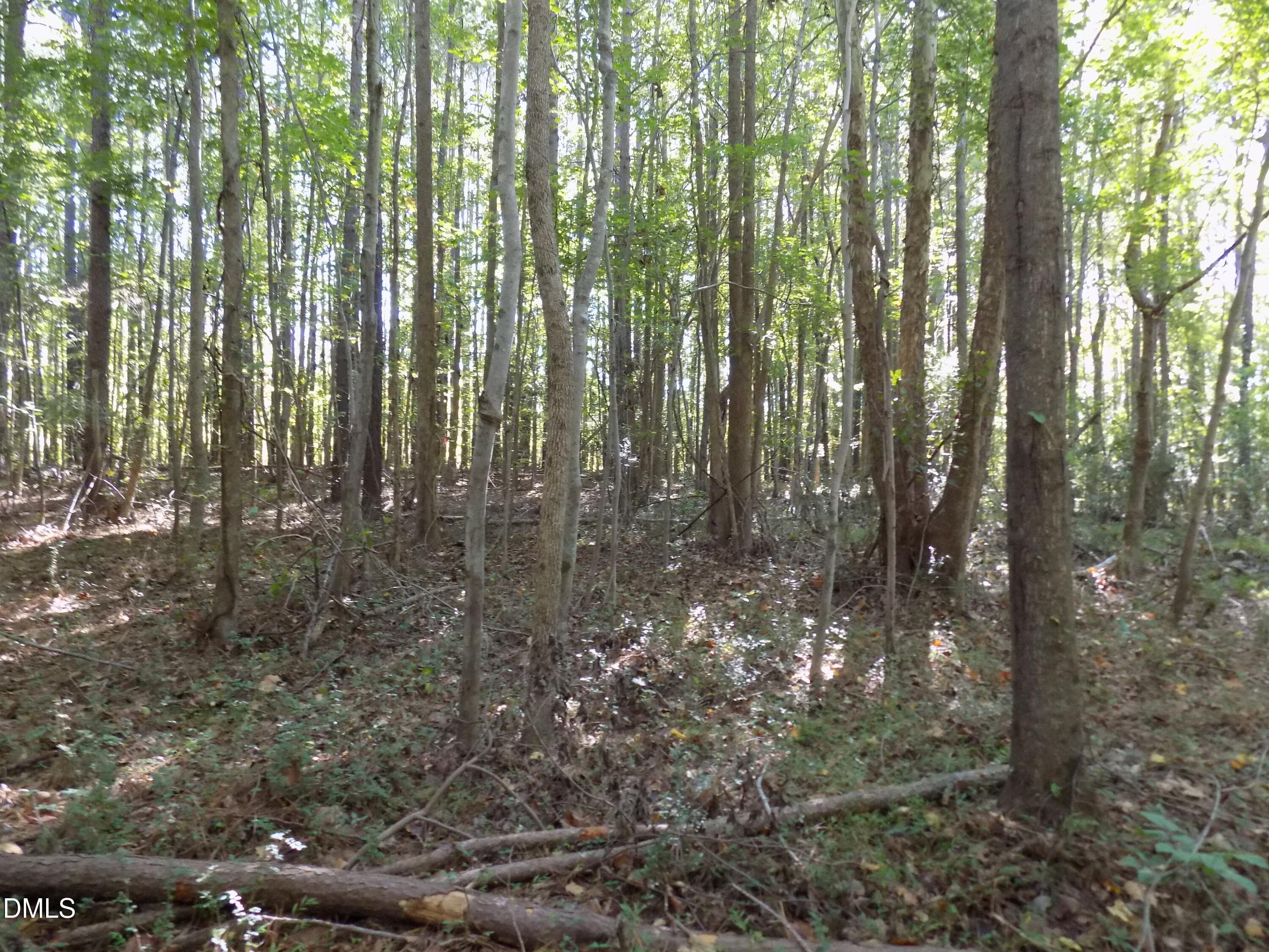 p8 - 0 Perdues Road, Louisburg, NC 27549