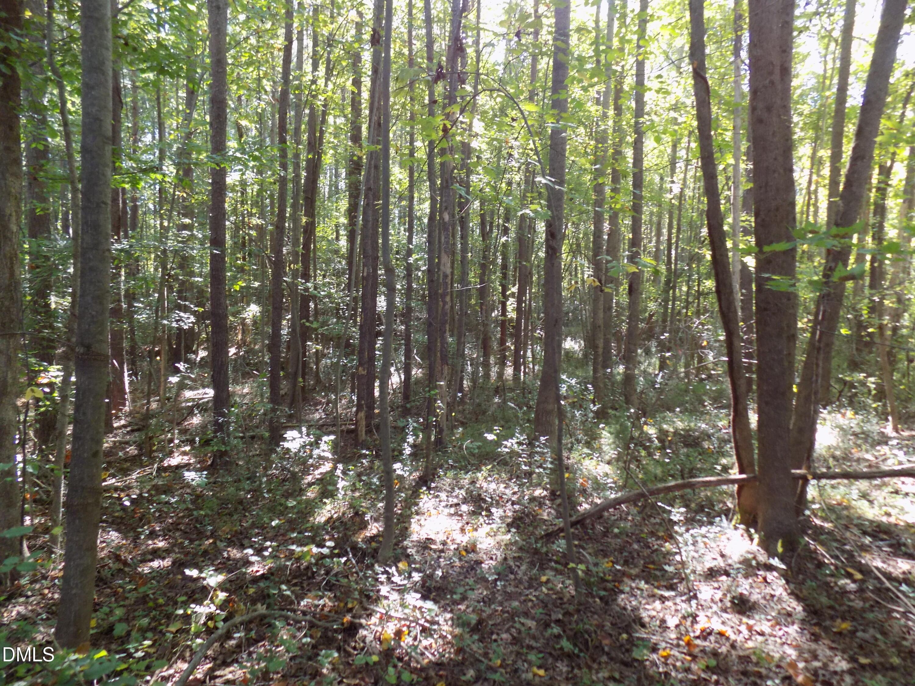 p9 - 0 Perdues Road, Louisburg, NC 27549