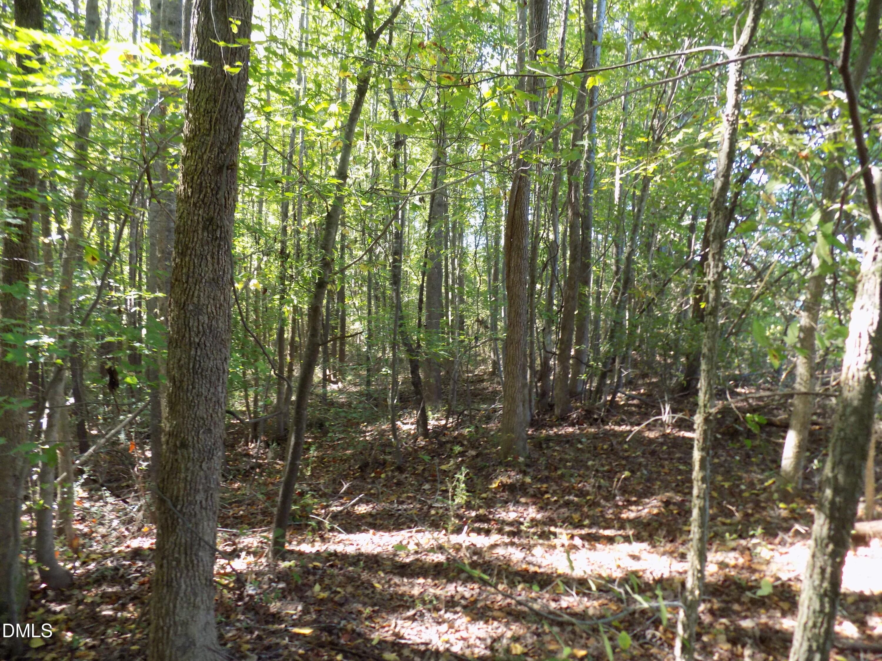 p10 - 0 Perdues Road, Louisburg, NC 27549