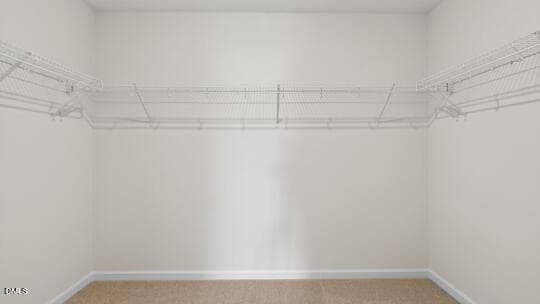 WALK-IN CLOSET - 1125 Pavo Path, Wendell, NC 27591