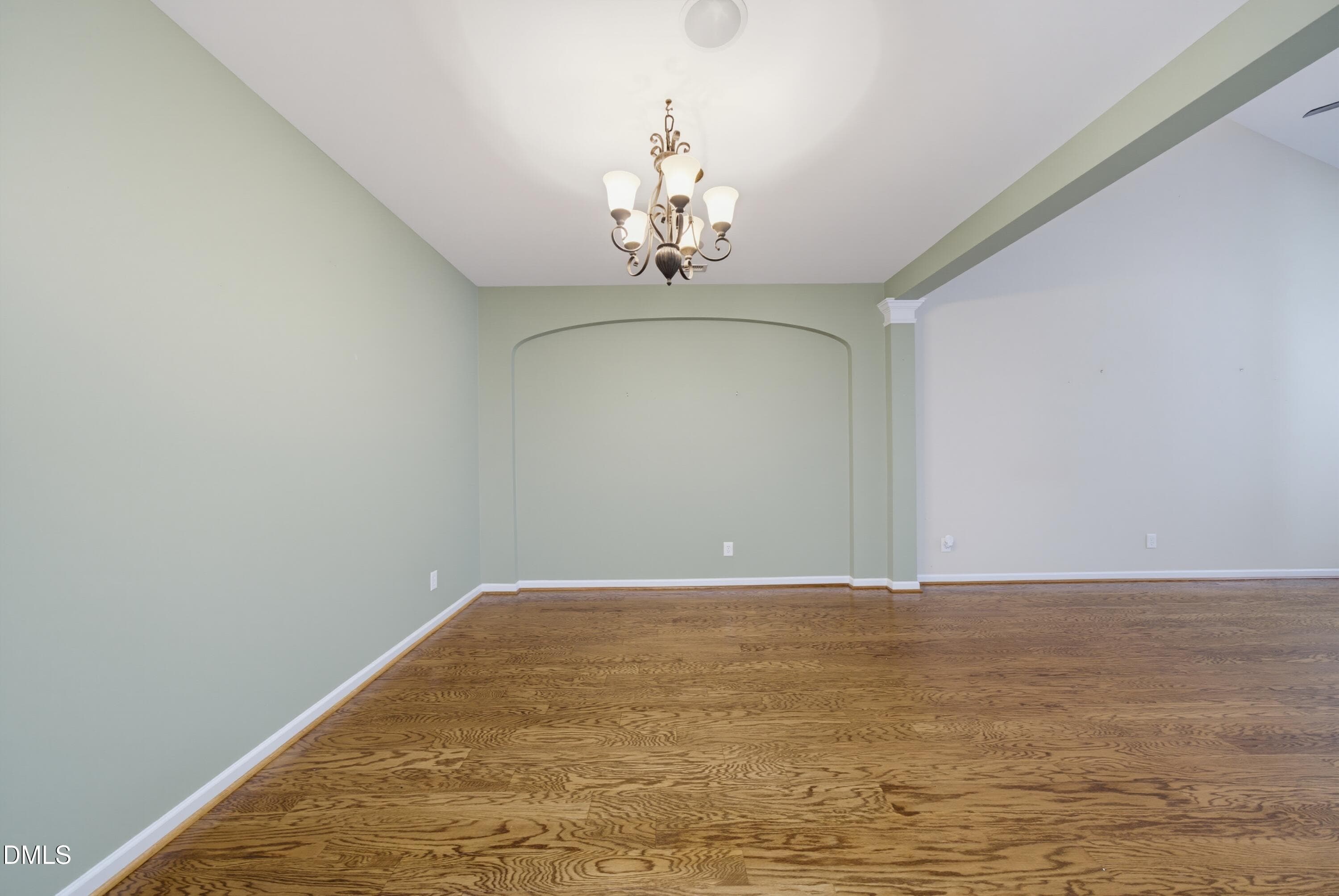 DSC09349 - 2828 Casona Way, Raleigh, NC 27616