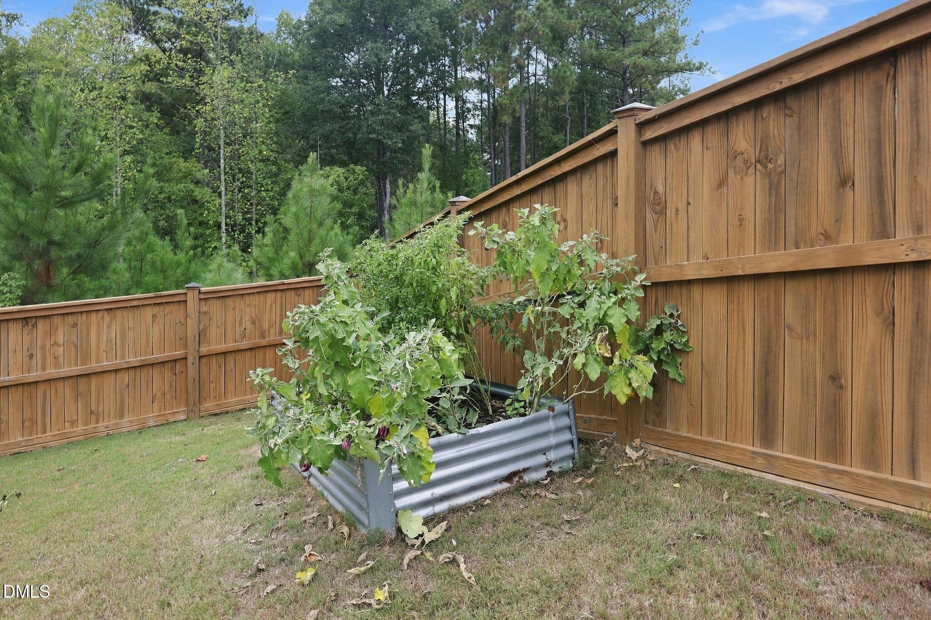 58-web-or-mls-IMG_2925 - 8516 Jordan Meadow Drive, Fuquay Varina, NC 27526