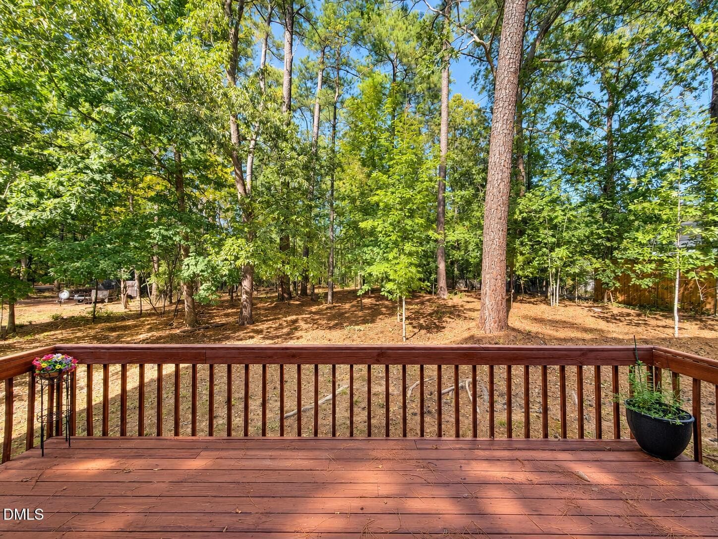 IMG_1803_edited - 111 Wenonah Way, Durham, NC 27713