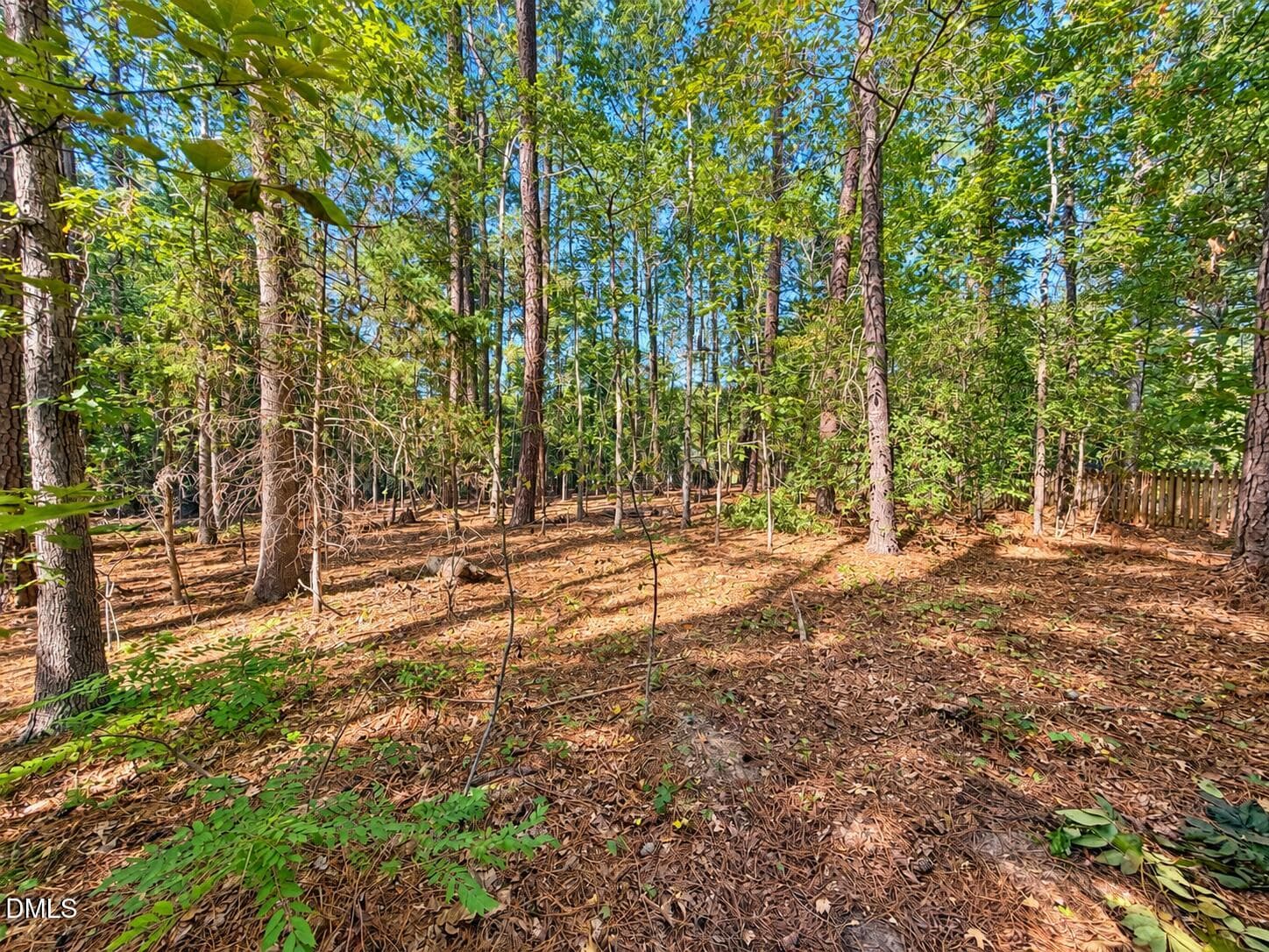 IMG_1806_edited - 111 Wenonah Way, Durham, NC 27713