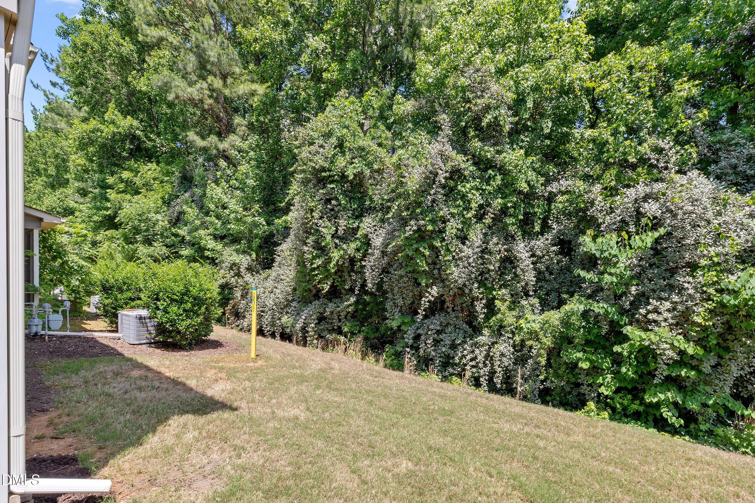 43-223 Diamond118 Temple_0365 - 223 Diamond Head Drive, Durham, NC 27705