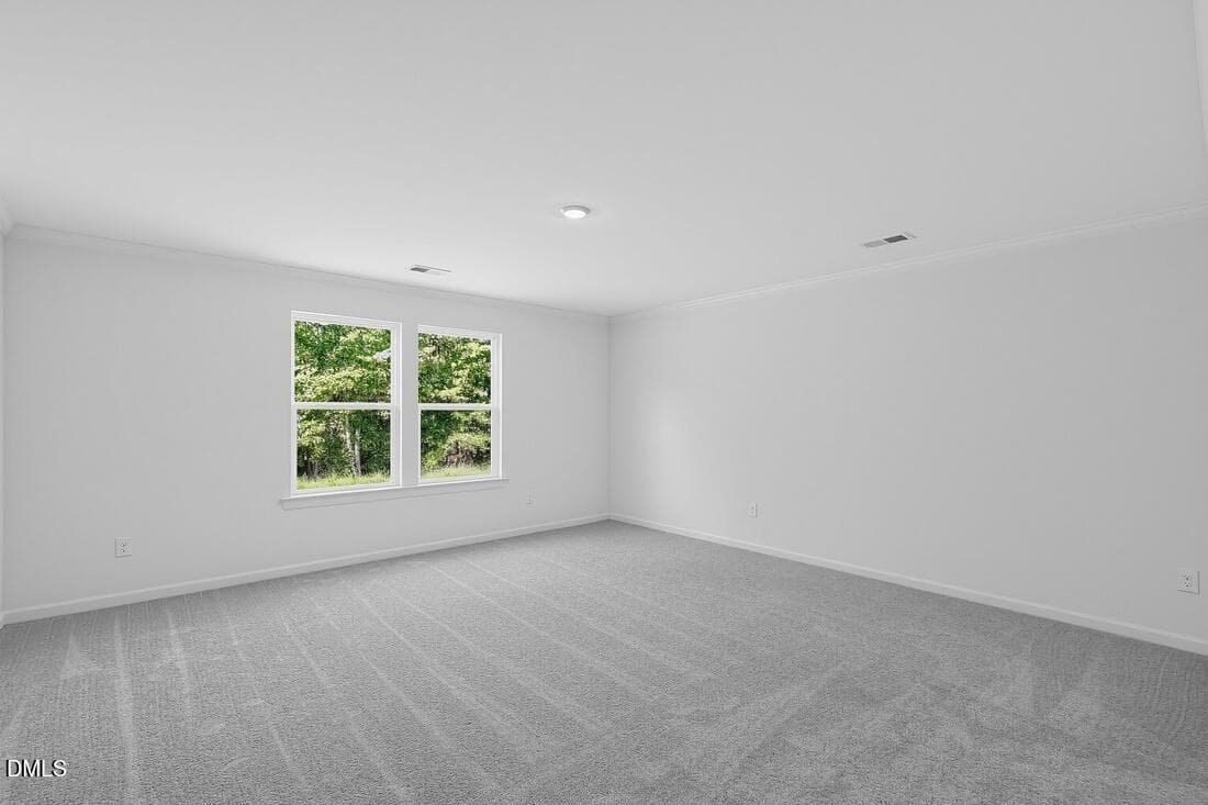 hj-nc-raleigh-camden-place-quincy-lot-12 - 282 Blue Butterfly Drive, Angier, NC 27501
