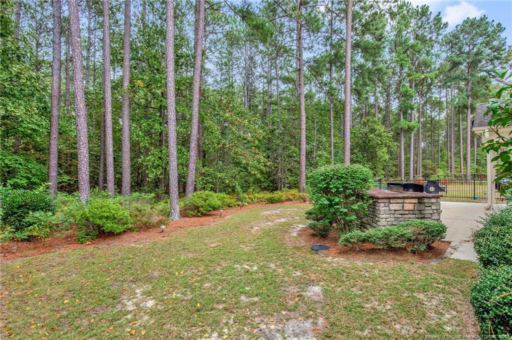 Photo 35 - 770 Micahs Way N, Spring Lake, NC 28390