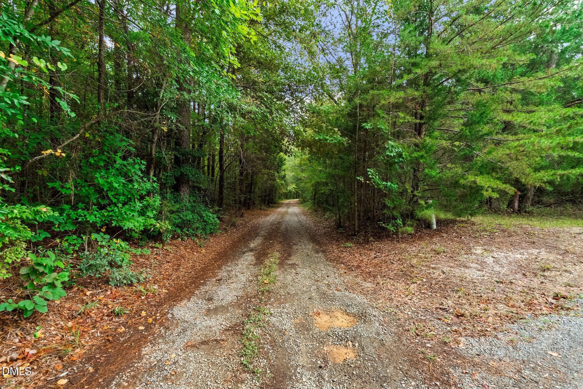 30_NJO04267 - 82 Arthur Alston Road, Pittsboro, NC 27312