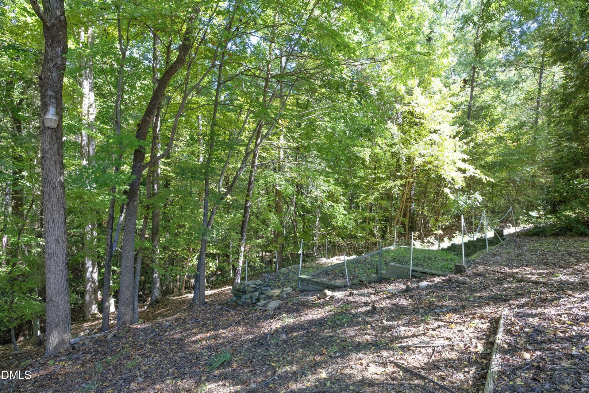 51WoodedBack - 5117 Tera Springs Drive, Raleigh, NC 27610