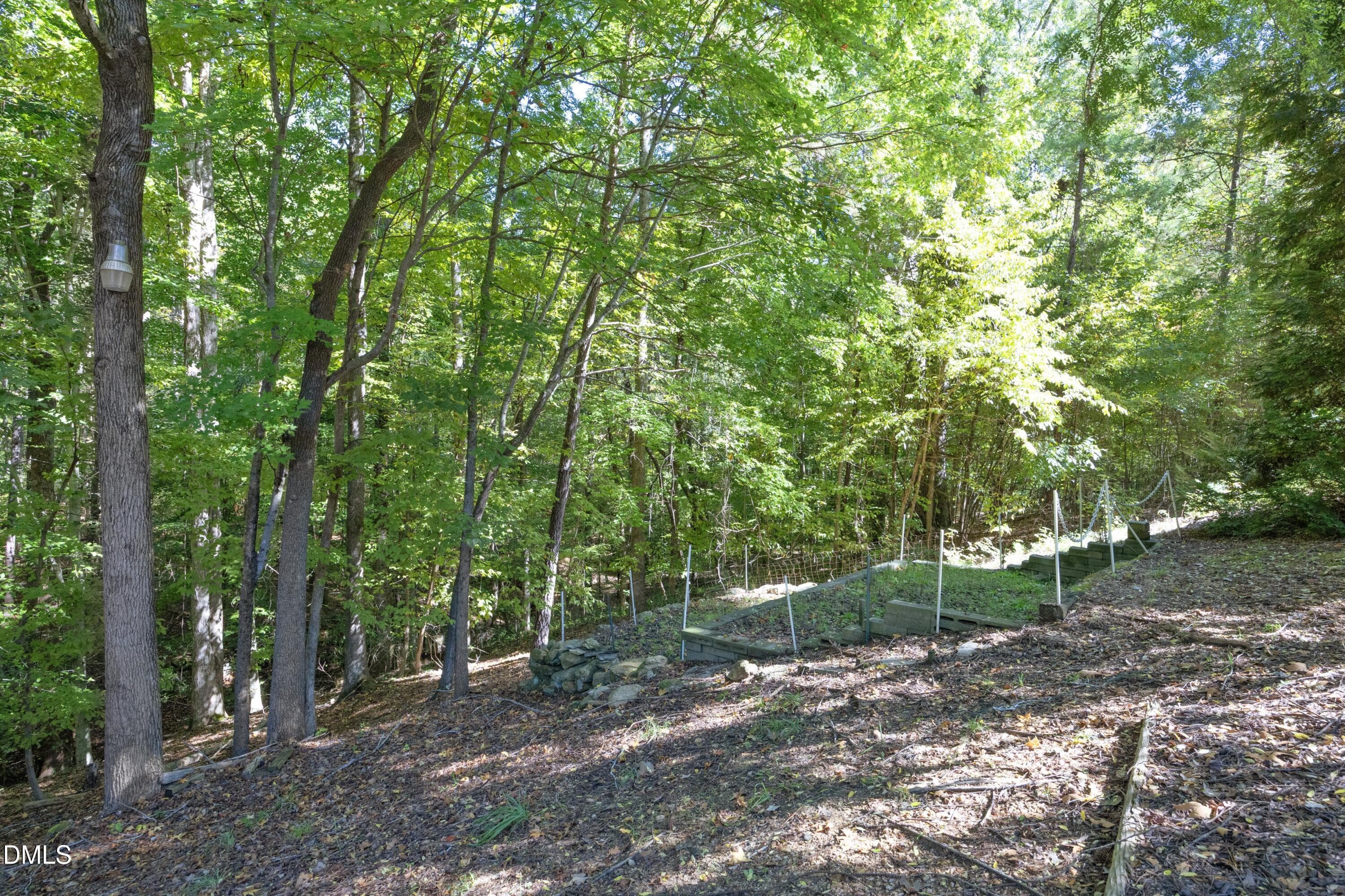 51WoodedBack - 5117 Tera Springs Drive, Raleigh, NC 27610