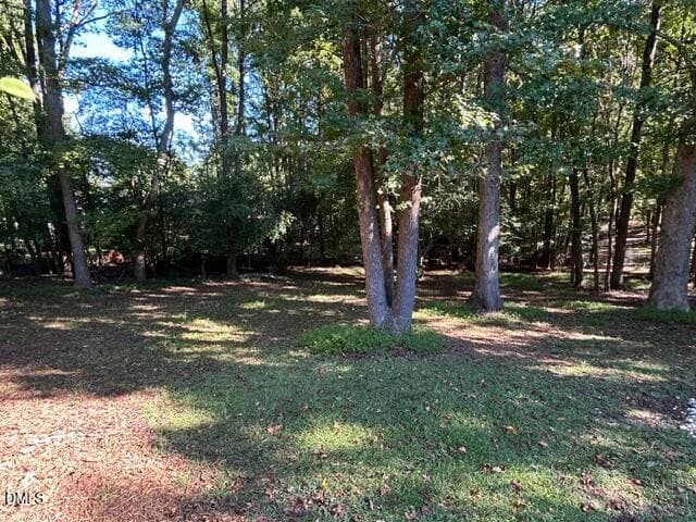 IMG_7377 - 2009 Smith Drive, Clayton, NC 27520, Clayton