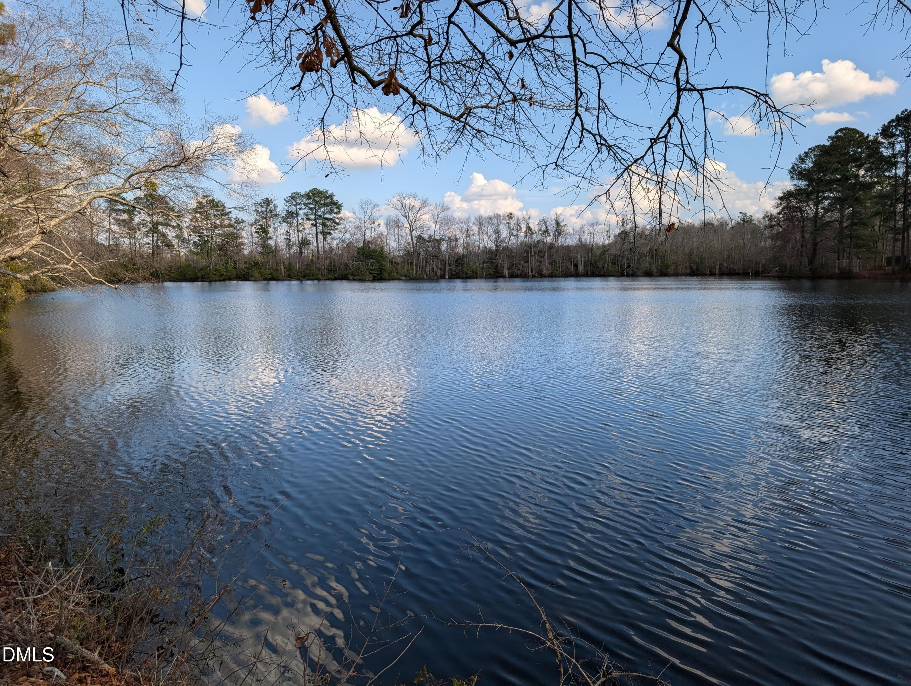 Beautiful View of Lake - 4719 Lakeview Road, Elm City, NC 27822