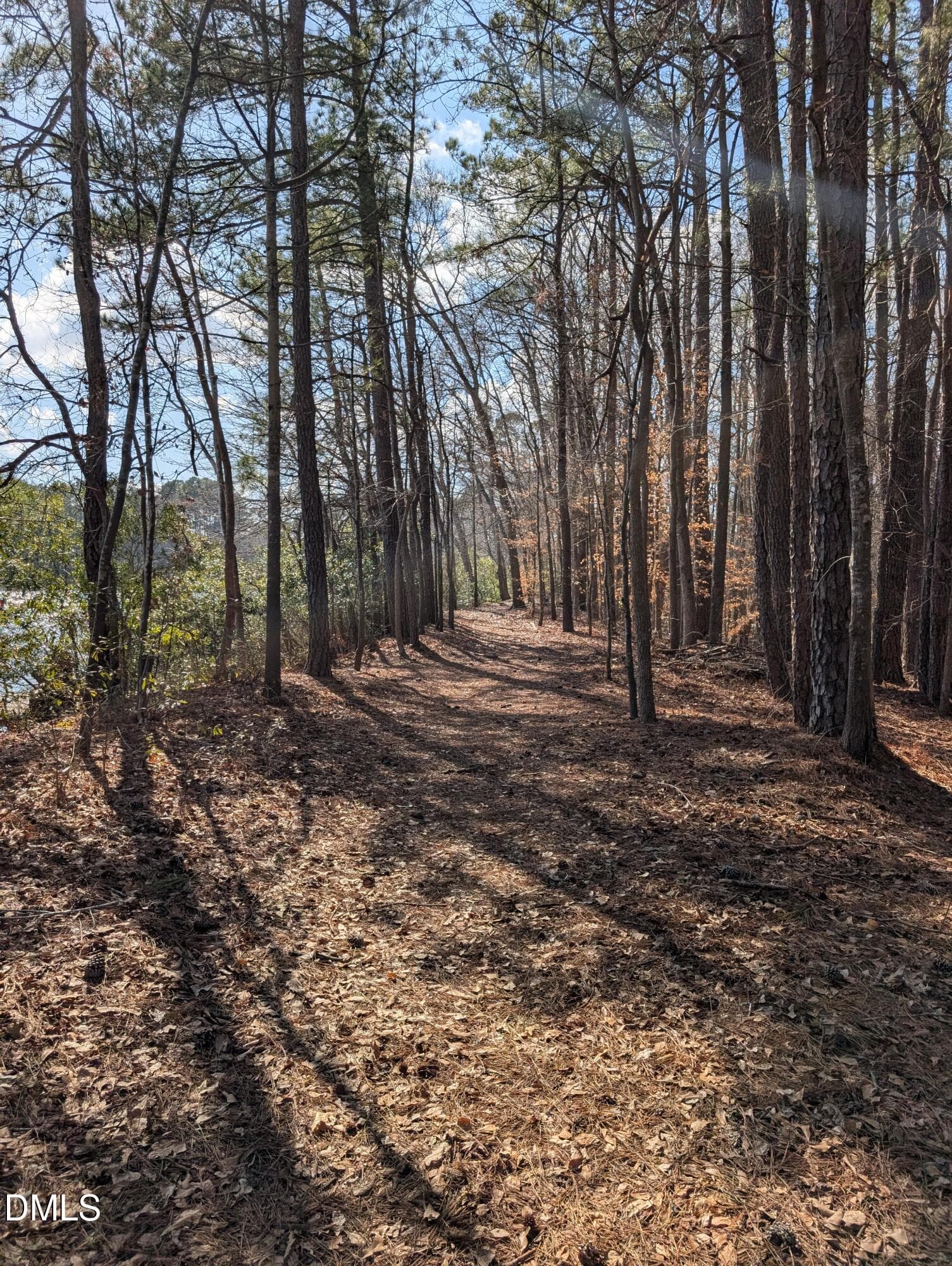 Walking Trails - 4719 Lakeview Road, Elm City, NC 27822
