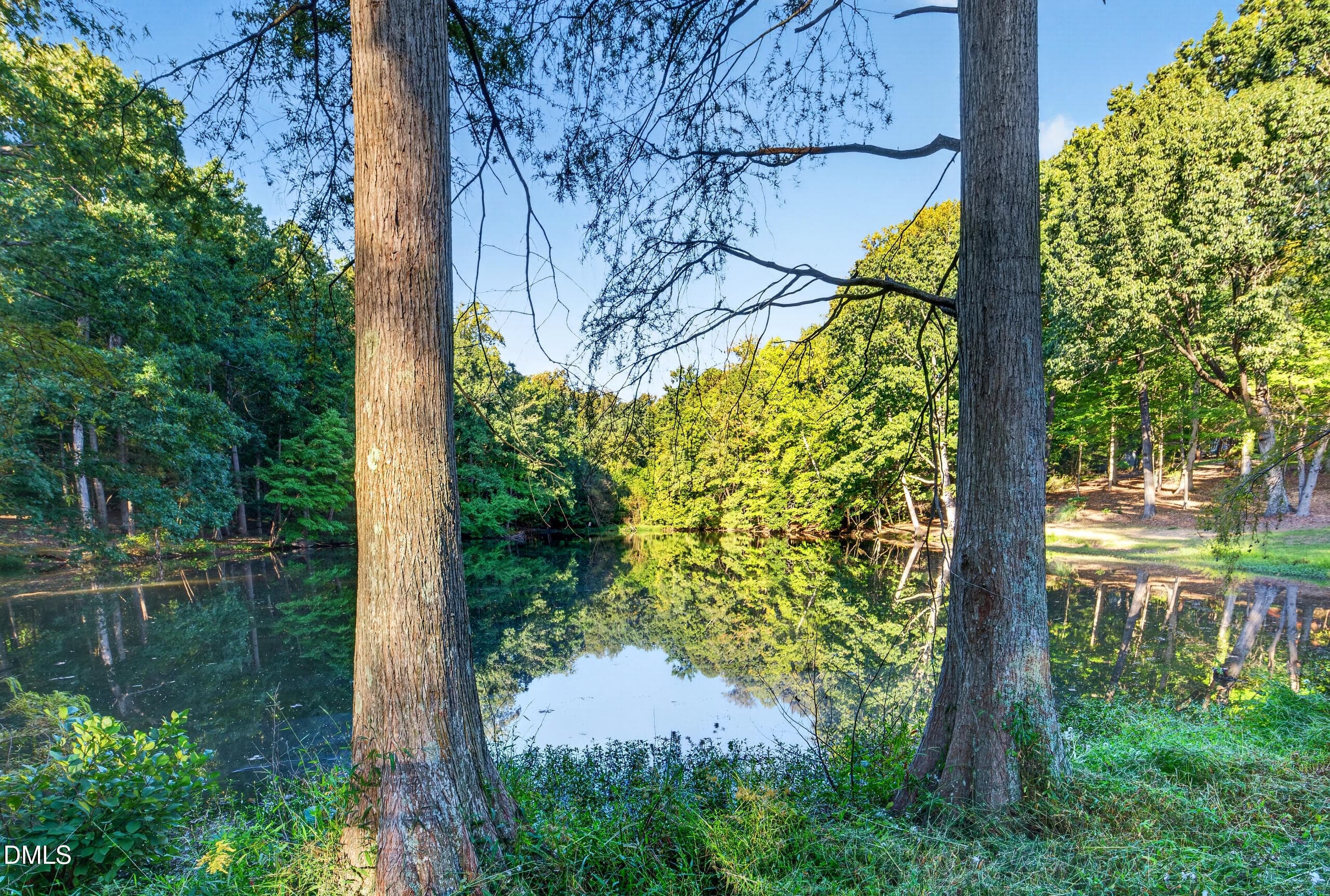 DSC07948 - 801 Cliftwood Drive, Siler City, NC 27344