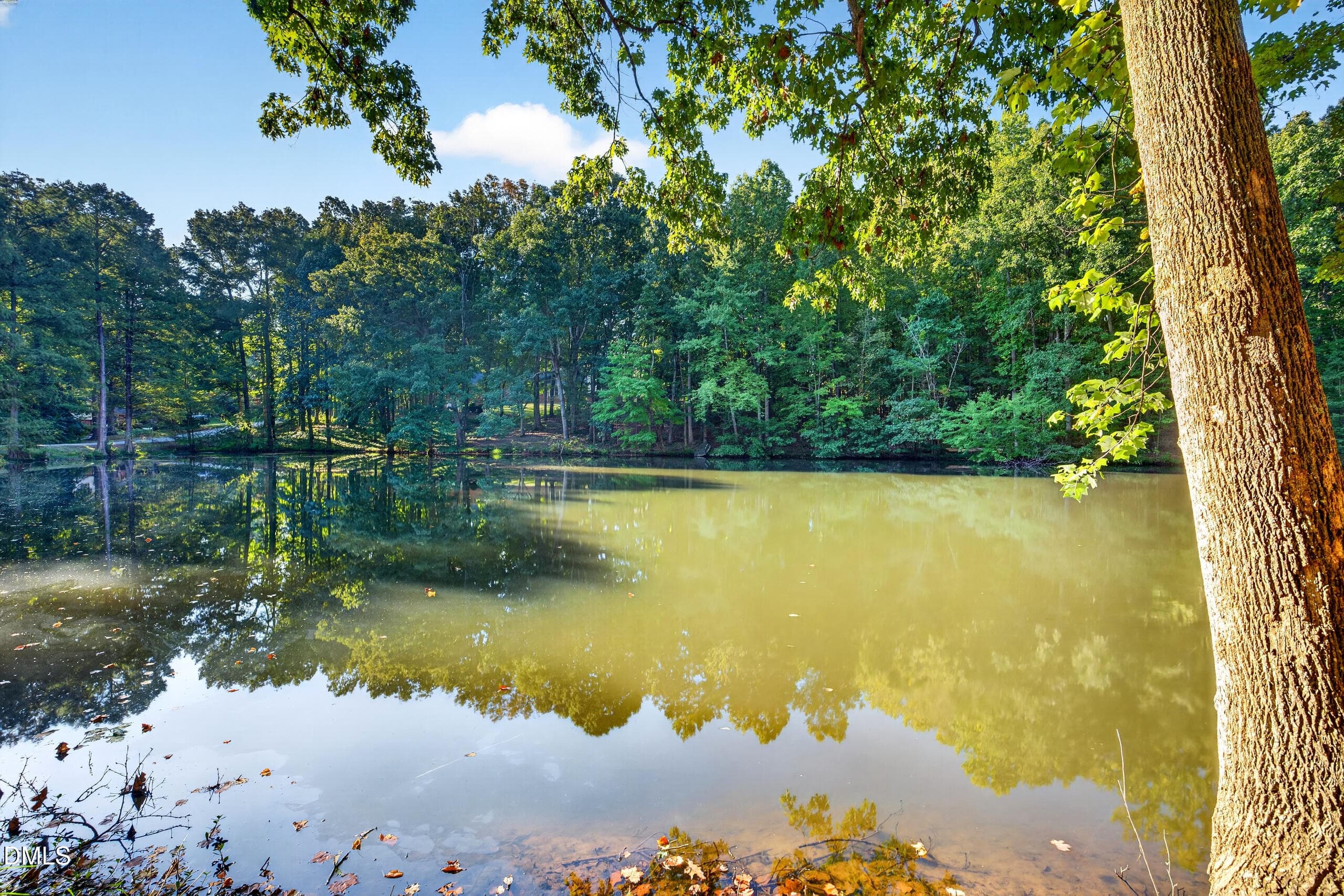 DSC08013 - 801 Cliftwood Drive, Siler City, NC 27344