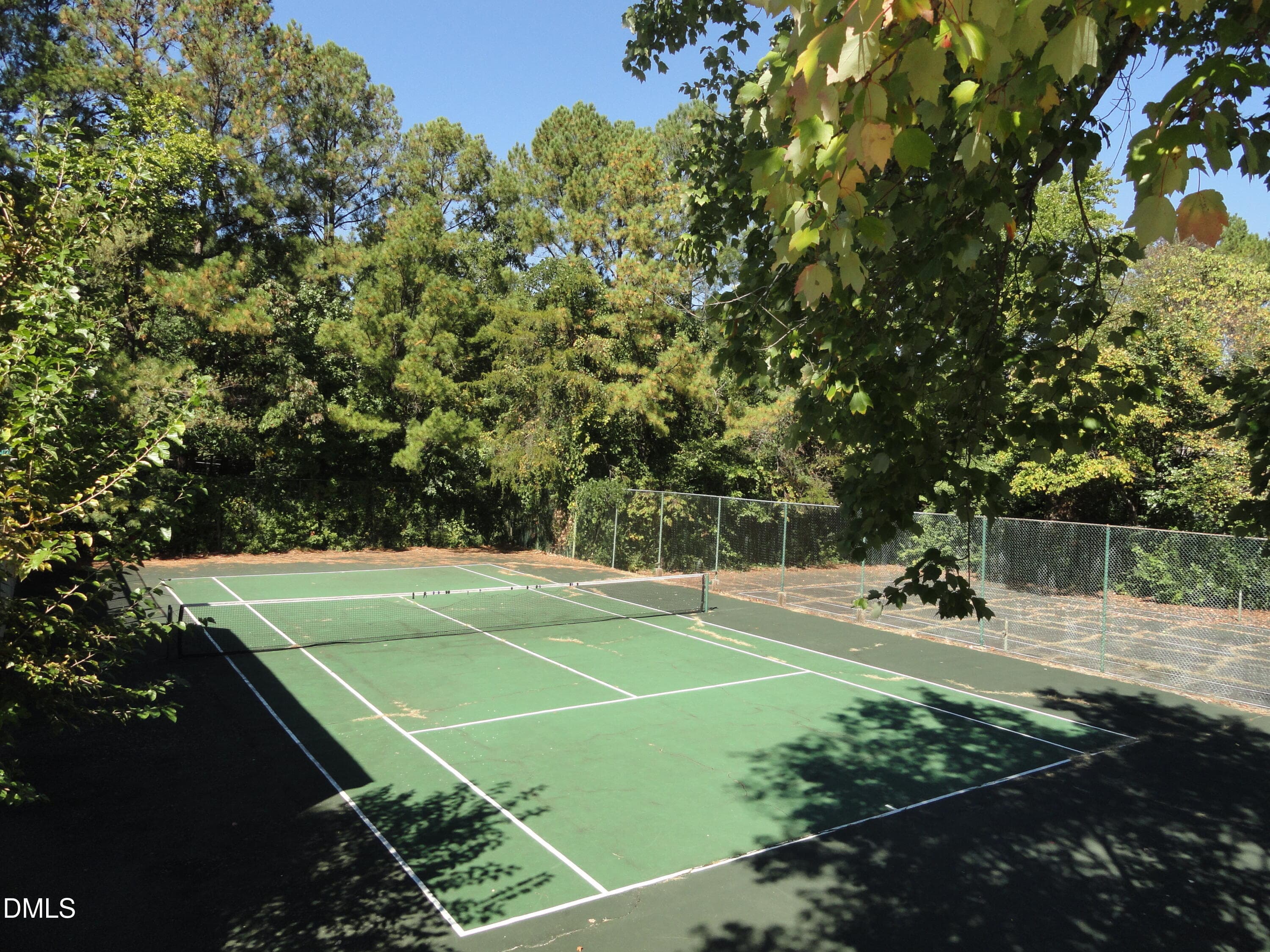 DSC06806 - 702 Martin Luther King Jr Boulevard C2, Chapel Hill, NC 27514, Chapel Hill